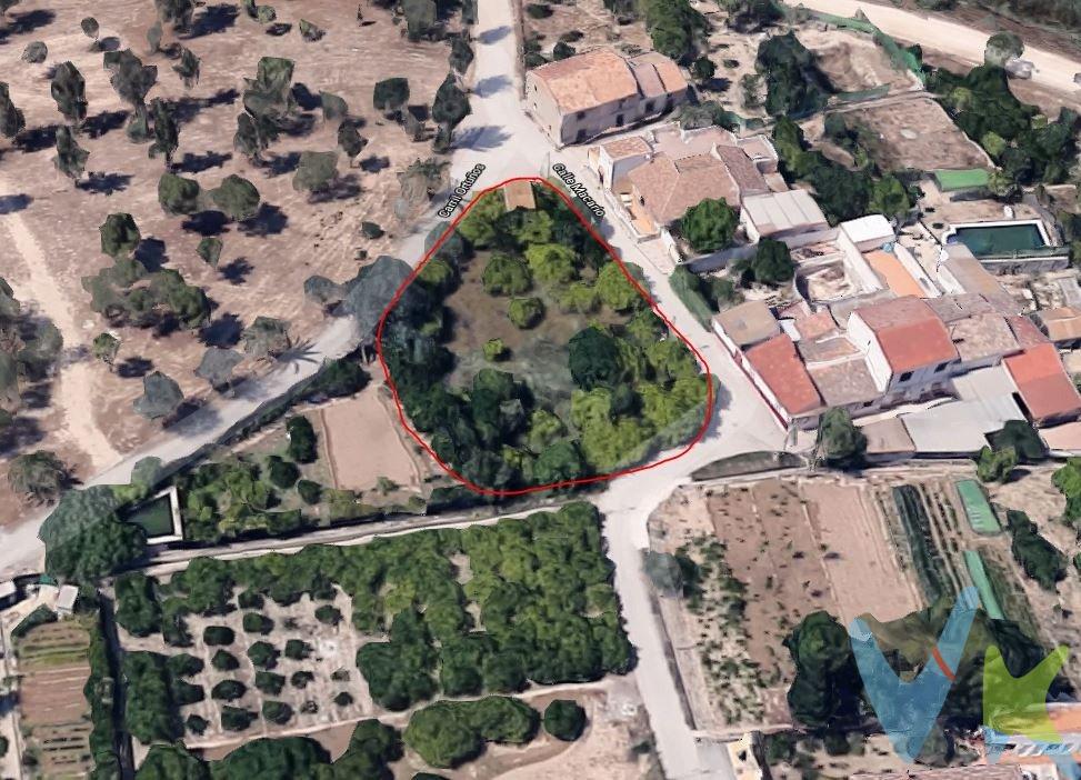 PARCELA URBANA EDIFICABLE DE 1.029 M² EN RINCÓN DE SECA (MURCIA). Se vende parcela situada en C/ Macario, en un entorno de huerta muy tranquilo y a pocos minutos del centro de Murcia. Es una parcela urbana edificable, ideal para proyectar una vivienda unifamiliar aislada en una calle donde ya existen viviendas nuevas ejecutadas con la misma normativa. SUPERFICIE Y CONFIGURACIÓN. La superficie de la parcela según Catastro es de 1.029 m² (Ref. Catastral 30030A099003180001EO). En el título histórico figura una superficie mayor (1.353,86 m²), algo habitual en fincas antiguas de huerta donde, con el paso de los años, parte del terreno se ha destinado a caminos y ensanches. La parcela se comercializa conforme a su realidad física y catastral actual. Dentro de la parcela existe además una caseta–almacén de 15 m² registrada en Catastro, práctica como apoyo a la futura vivienda. . CLASIFICACIÓN URBANÍSTICA. Clasificación RL – Agrupaciones Lineales Residenciales, que permite la construcción de una vivienda unifamiliar aislada de hasta 300 m² en dos plantas (7 m), con los retranqueos y cesiones al vial establecidos por el PGOU. Zona consolidada con servicios básicos, acceso asfaltado y alumbrado público. UBICACIÓN Y ENTORNO. Parcela situada en C/ Macario, Rincón de Seca. Entorno de huerta tradicional, zona tranquila, buenas conexiones con Murcia y pedanías y un tejido residencial de viviendas unifamiliares. Ideal para quienes desean construir una vivienda a su gusto con privacidad y cercanía real a la ciudad. PRECIO Y CONDICIONES. Precio total del inmueble: 93.530 € (incluye honorarios de agencia: 3.000 € + IVA). Precio base del inmueble: 89.900 €. Gastos no incluidos: ITP 7,75 %, gastos de notaría según ley (la parte proporcional correspondiente al comprador) y gastos de registro (. 450 €), todo ello por cuenta de la parte compradora. OBSERVACIONES. La parcela se transmite de forma independiente. La diferencia entre la superficie de escritura y la catastral se debe a ajustes históricos de caminos en la huerta murciana, situación habitual en fincas antiguas. Los datos urbanísticos se facilitan como información orientativa y deben verificarse por técnico o ayuntamiento. Anuncio no contractual y sujeto a cambios. EXCLUSIVA Y COLABORACIÓN. Comercialización en exclusiva. Por favor, no molestar a la propiedad ni a los vecinos. Si eres agente inmobiliario y perteneces a otra red profesional, consúltanos para colaboración. 