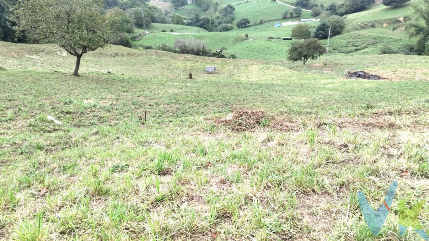 BONITA FINCA URBANA EN OBESO CON VISTAS PANORÁMICAS AL VALLE¿Sueña con diseñar la casa de su vida en un entorno natural incomparable, sin renunciar a la exclusividad y la tranquilidad? Esta es la oportunidad que estaba esperando. Presentamos esta magnífica finca de más de 1.300m², 280m²urbana  y 1.023m² rústica edificable ubicada en el idílico pueblo de Obeso, en el municipio de Rionansa, Cantabria.Un lienzo en blanco perfecto para la construcción de una vivienda unifamiliar independiente de grandes dimensiones si así lo desean, diseñada totalmente a su gusto y adaptada a sus necesidades.Edificabilidad garantizada: Terreno apto y listo para iniciar el proyecto de su vivienda unifamiliar. Vistas y orientación inmejorables: Situada en una zona elevada que regala unas espectaculares vistas despejadas a las montañas y al verde valle cántabro. Disfrute de una luz natural excelente durante todo el día gracias a su fantástica orientación.Privacidad y naturaleza: Un remanso de paz absoluta rodeado de paisajes majestuosos, ideal para quienes buscan desconectar del estrés urbano, respirar aire puro y conectar con las tradiciones del norte.Ubicación estratégica: Obeso combina la paz de la montaña con una conectividad excelente. Se encuentra a un paso del impresionante entorno de las Cuevas de El Soplao, muy cerca de los valles del Nansa y del Saja, y a una cómoda distancia en coche de las playas de la costa occidental cántabra (como San Vicente de la Barquera o Comillas), y sólo a unos pocos minutos de San Sebastián de Garabandal.La parcela cuenta con fácil acceso rodado hasta por carretera pavimentada y los servicios de luz y agua se encuentran a pie de finca, lo que reduce drásticamente los costes de acometida y preparación para la obra.No deje escapar la oportunidad de construir un hogar con identidad propia o una segunda residencia de ensueño en uno de los rincones más auténticos y cotizados de Cantabria.¡Venga a visitarla y déjese enamorar por el paisaje! Las propiedades con estas características y posibilidades de edificación son cada vez más escasas en la región. Contáctenos hoy mismo para agendar una visita personalizada.