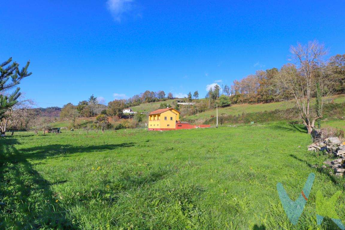 ¡Oportunidad única en Las Regueras! Se vende increíble parcela edificable de 2.509 m², completamente llana y con una ubicación privilegiada, perfecta para construir la casa de tus sueños en un entorno natural incomparable.La normativa permite edificar hasta 300 m² sobre rasante, incluyendo la posibilidad de añadir dos edificaciones auxiliares de 50 m² cada una (taller, garaje, estudio, caseta de aperos, etc.). Una opción ideal para quienes buscan amplitud, comodidad y versatilidad.Disfruta cada día de vistas espectaculares a las montañas y paisajes naturales de Asturias, un entorno que invita a la calma y que, al mismo tiempo, ofrece una excelente comunicación:·         A tan solo 20 minutos de Oviedo.·         A 5 minutos de Grado.Una ubicación perfecta para quienes desean un hogar tranquilo sin renunciar a los servicios esenciales.Además, la zona destaca por su exposición solar excepcional, acceso cómodo y rápido, y un entorno de viviendas unifamiliares que garantizan privacidad y calidad de vida. Ideal para familias, personas que teletrabajan, o para invertir y asegurar una propiedad en una de las áreas con mayor demanda del centro de Asturias.Un lugar privilegiado para construir tu hogar, rodeado de naturaleza, tranquilidad y bienestar.¡No dejes pasar esta oportunidad! Una parcela así no aparece todos los días.No incluido en el precio el Impuesto de Transmisiones Patrimoniales y los gastos de Notaría y Registro 