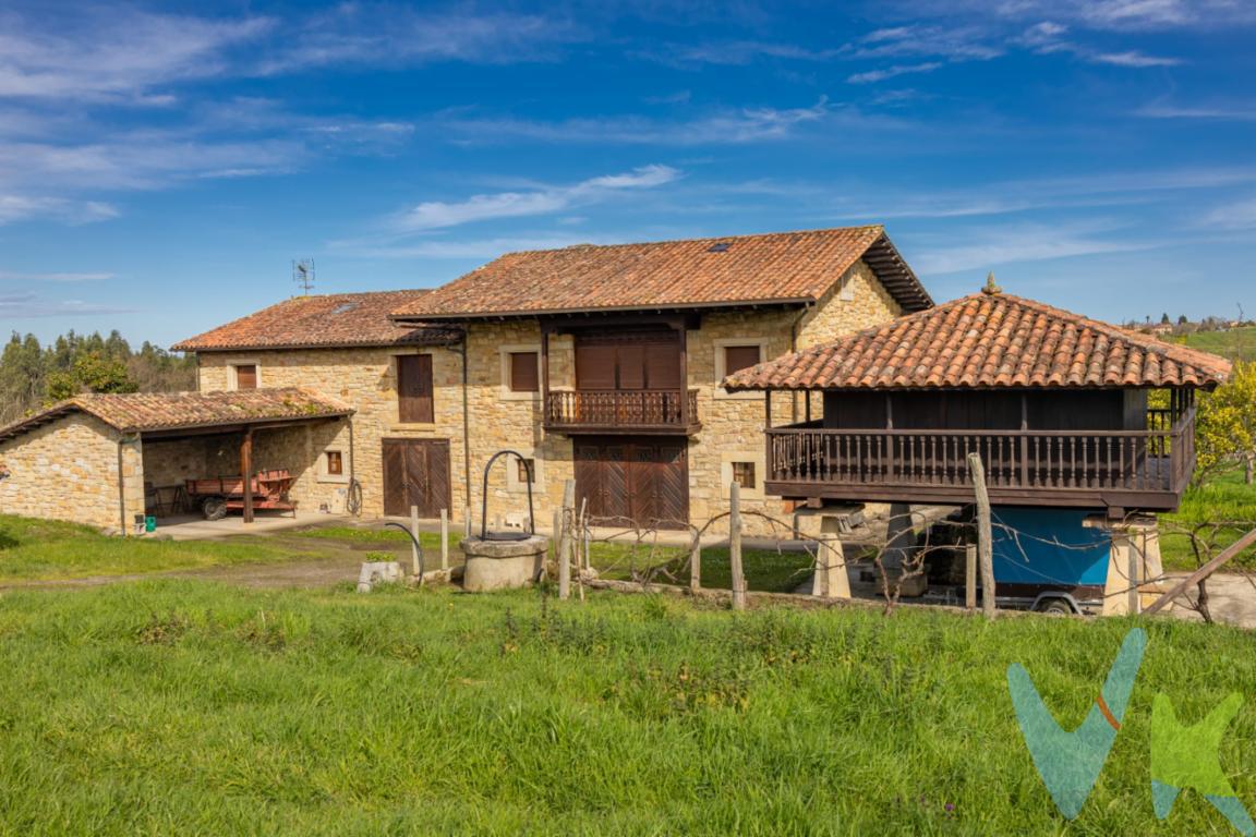 Conjunto único, a 20 minutos de Gijón, a 10 minutos de Villaviciosa. Casa Mariñana en Argüero de piedra , de 2 plantas, reformada, estructura de hormigón, tejados nuevos, interiores bien, anexo almacén con altillo, garaje, hórreo,  todo en muy buen estado, para entrar a vivir:  gran finca cerrada de 23.000 m2 con manzanos, buen acceso, conjunto único, a un paso de la costa y playas, infórmese! 