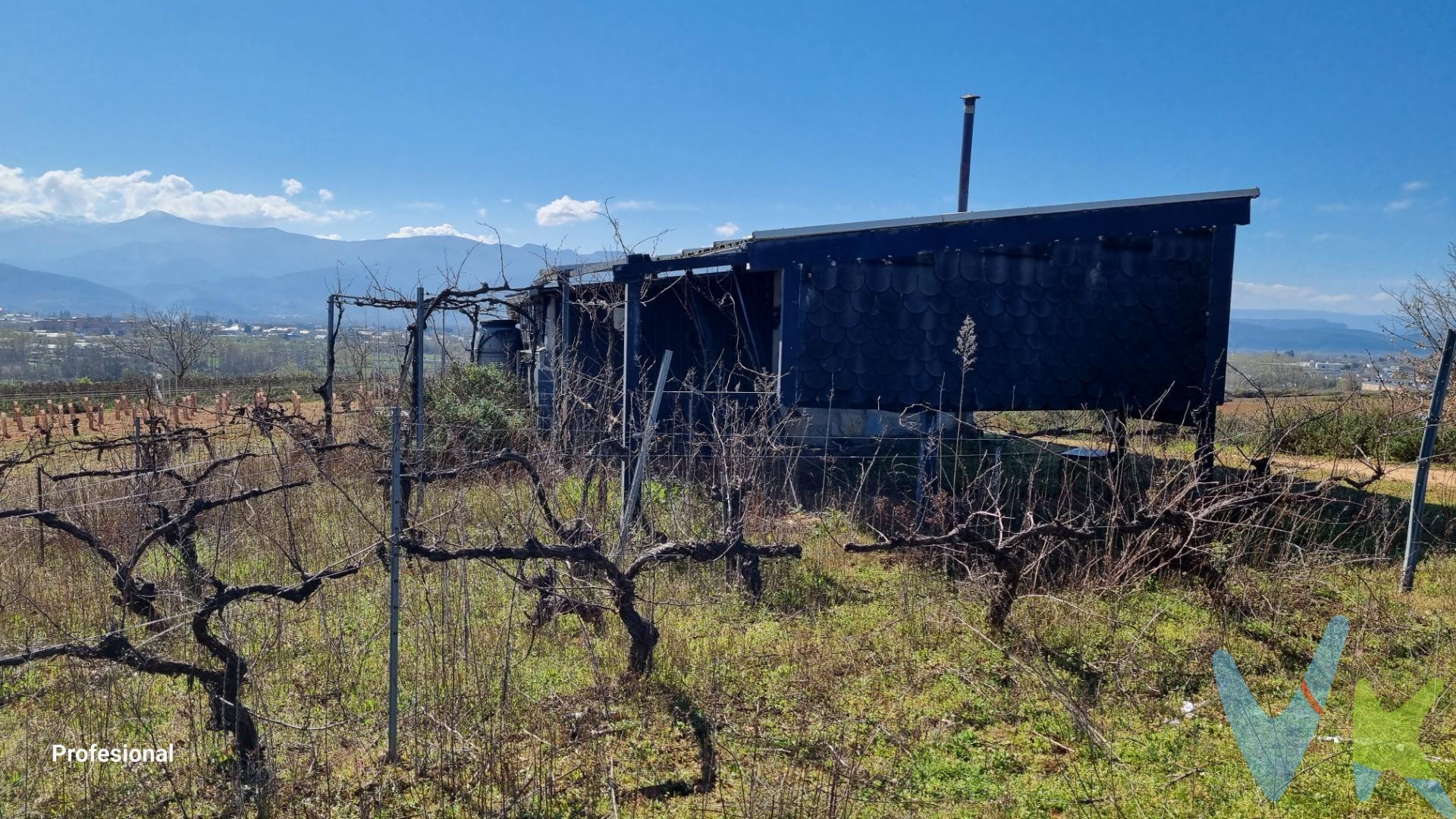 . Solo para ti: VIÑA EN ESPALDERA CON CASETA Y TENDEJON. Tenemos  la finca de recreo que estabas buscando. Disfruta de una orientación privilegiada,  al naciente y mediodía y con acceso por pista. Todo ello  hacen de esta finca un lugar excepcional para pasar tus tardes de verano aprovechando  el buen tiempo y  la tranquilidad que ansias. No pierdas la oportunidad de verla y darte cuenta que es todo lo que necesitas. Haznos tu mejor oferta. Gastos de compraventa a cargo del comprador, no incluidos en el precio, (Notaria, Registro, Gestoría e Impuestos) excepto la Plusvalía municipal que es a cargo del vendedor. Por mandato expreso del propietario, comercializamos este inmueble en exclusiva, lo que garantiza el acceso a toda la información, a un servicio de calidad, en un trato fácil, sencillo y sin interferencias de terceros. Por este motivo, se ruega no molestar al propietario, a los ocupantes de la propiedad o a los vecinos. Muchas gracias por su comprensión.