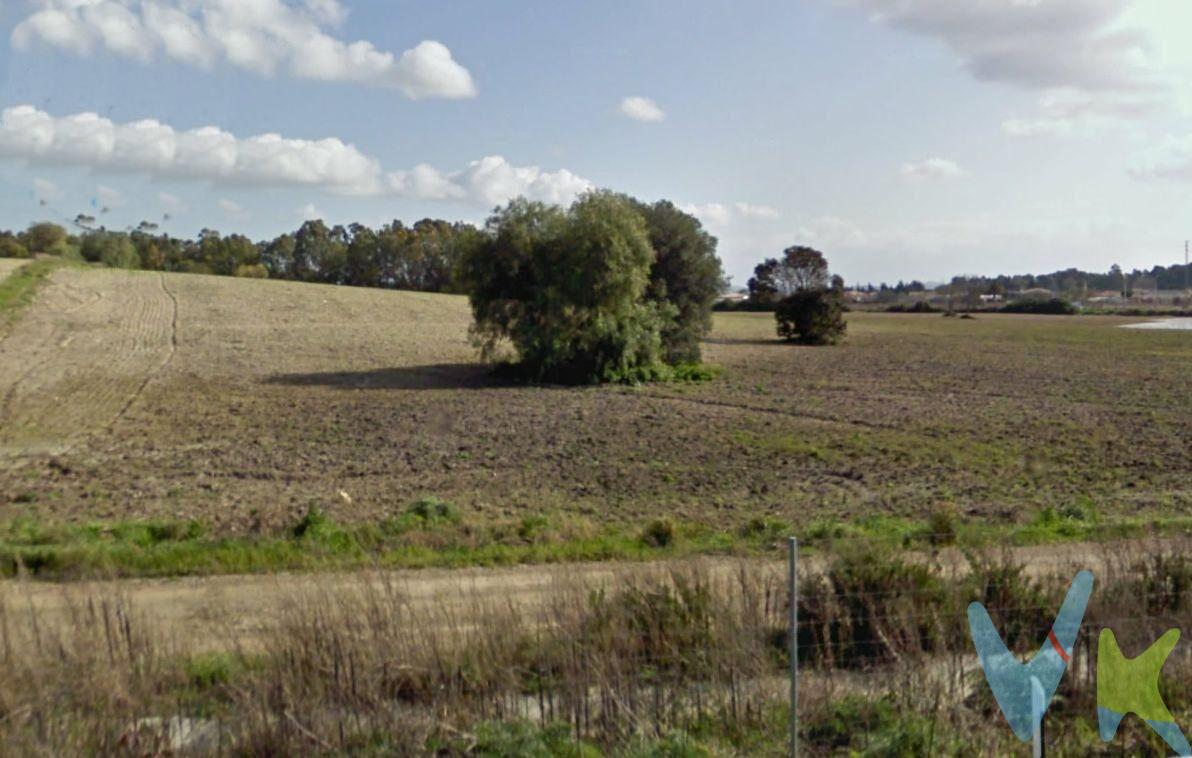 . ¿Buscas un lugar perfecto para invertir o desarrollar tu proyecto soñado? Presentamos un increíble terreno rústico en Chiclana de la Frontera, estratégicamente ubicado cerca de la autovía, ofreciendo fácil acceso y unas vistas inigualables.  Características del Terreno:. - Superficie Total: 25.000 metros cuadrados. - Parcelas: 10 parcelas de 2.500 metros cuadrados cada una. - Estado Legal: Totalmente segregadas e independientes jurídicamente. Ventajas:. - Ubicación Ideal: Cerca de la autovía, lo que garantiza una excelente conectividad y accesibilidad. - Entorno Natural: Disfruta de la tranquilidad y belleza de un entorno rural con vistas panorámicas. - Flexibilidad: Perfecto para inversores, agricultores, o aquellos que buscan desarrollar un proyecto personal o comercial. -Independencia: Cada parcela es independiente, permitiendo una amplia gama de posibilidades para su uso y desarrollo. No pierdas la oportunidad de adquirir un terreno con tanto potencial en una de las zonas más demandadas de Chiclana de la Frontera. ¡Las posibilidades son infinitas!. Contacta con nosotros hoy mismo para más información y para programar una visita!. Comercializamos este inmueble en exclusiva, lo que le garantiza el acceso a toda la información y un servicio de calidad único y personalizado. En cumplimiento del Decreto de la Junta de Andalucía 218/2005 del 11 de Octubre, se informa al cliente que los gastos notariales, registrales, ITP y otros gastos inherentes a la compraventa no están incluidos en el precio. Igualmente disponemos del Documento Informativo Abreviado de la Propiedad (D.I.A) , y de un Seguro de Caución para garantizar las cantidades entregadas a nuestra Agencia en concepto de Reserva y/o Arras. 