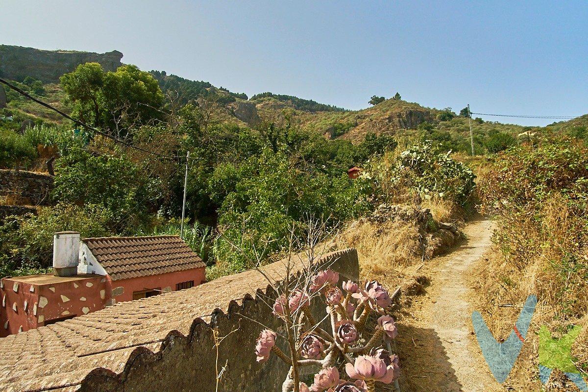 Se vende casa de campo en La Lechucilla de San Mateo, conjuntamente con varias parcelas de terreno rústico repartidas por la zona, que suman más de 14.204 m2 y varias horas de agua de regadío.  .  Se trata de una coqueta construcción en la Lechucilla, compuesta por dos cuerpos, el primero más moderno y con tejado a dos aguas, tiene un baño con plato de ducha, ventana de ventilación y una cocina con mobiliario de mampostería.  El segundo cuerpo más antiguo está compuesto por dos grandes estancias a reformar que podrán convertirse en dormitorios o salón.  Las construcciones ocupan 63m2 construidos de los 165 de que consta la parcela, siendo el resto zona de jardín o terraza, que podrá habilitar a su gusto, quedándole una magnífica vivienda para su uso de fines de semana, vacacional o incluso residencial.  El acceso a la vivienda es por coche por la carretera de la Lechucilla, y un pequeño recorrido de 50m por un camino vecinal a pie o en moto y unos 5m de sendero de tierra.  La casa tiene suministro de agua, no tiene luz dada de alta pero pasa cerca el cableado público, se sitúa en suelo rústico de protección paisajística (S.R.P.P) por lo que no se puede ampliar su superficie y no es hipotecable al no estar registrada, por lo que la venta solo se plantea al contado.  .  Acompañan a la venta de esta vivienda las siguientes 9 parcelas rústicas, según el plano adjunto:.  .  1. 114m2 de suelo de riego llano actualmente sin uso, necesita desbrozo y limpieza, rústico de protección agraria S.R.P.A.  2. La vivienda descrita en este anuncio.  3. 693,92 m2 de suelo llano con frutales S.R.P.A.  4. 135m2 de suelo de labradío llano con frutales S.R.P.A.  5. 350m2 de suelo de secano llano actualmente sin uso, necesita desbrozo y limpieza S.R.P.A.  6. 408,06m2 de suelo de secano llano actualmente sin uso, necesita desbrozo y limpieza S.R.P.A.  7. 570,69 m2 de suelo en barranco con algunos castaños S.R.P.A.  8. 10.008 m2 de suelo de secano rústico de protección paisajística uso genérico RPP-G, compuesto en su mayoría de arrifes y castaños en pendiente.  9. 886m2 de suelo de secano S.R.P.A.  10. 1039m2 de suelo con castañeros, S.R.P.A.  .  El acceso a todos estos terrenos son a pie por linderos y servidumbres de paso, caminos rurales por los que no entra un vehículo.  . Se vende conjuntamente con 3h06m de agua de diferentes regantes.  .  La vivienda se vende de forma inseparable a todas estas parcelas y horas de agua, ni las parcelas, ni el agua se venden por separado. El precio anunciado es para el conjunto de las propiedades descritas y no es negociable.  .  Los gastos de impuestos, registro, notaría y cualquier otro derivados de la venta no están incluidos en el precio PVP. 