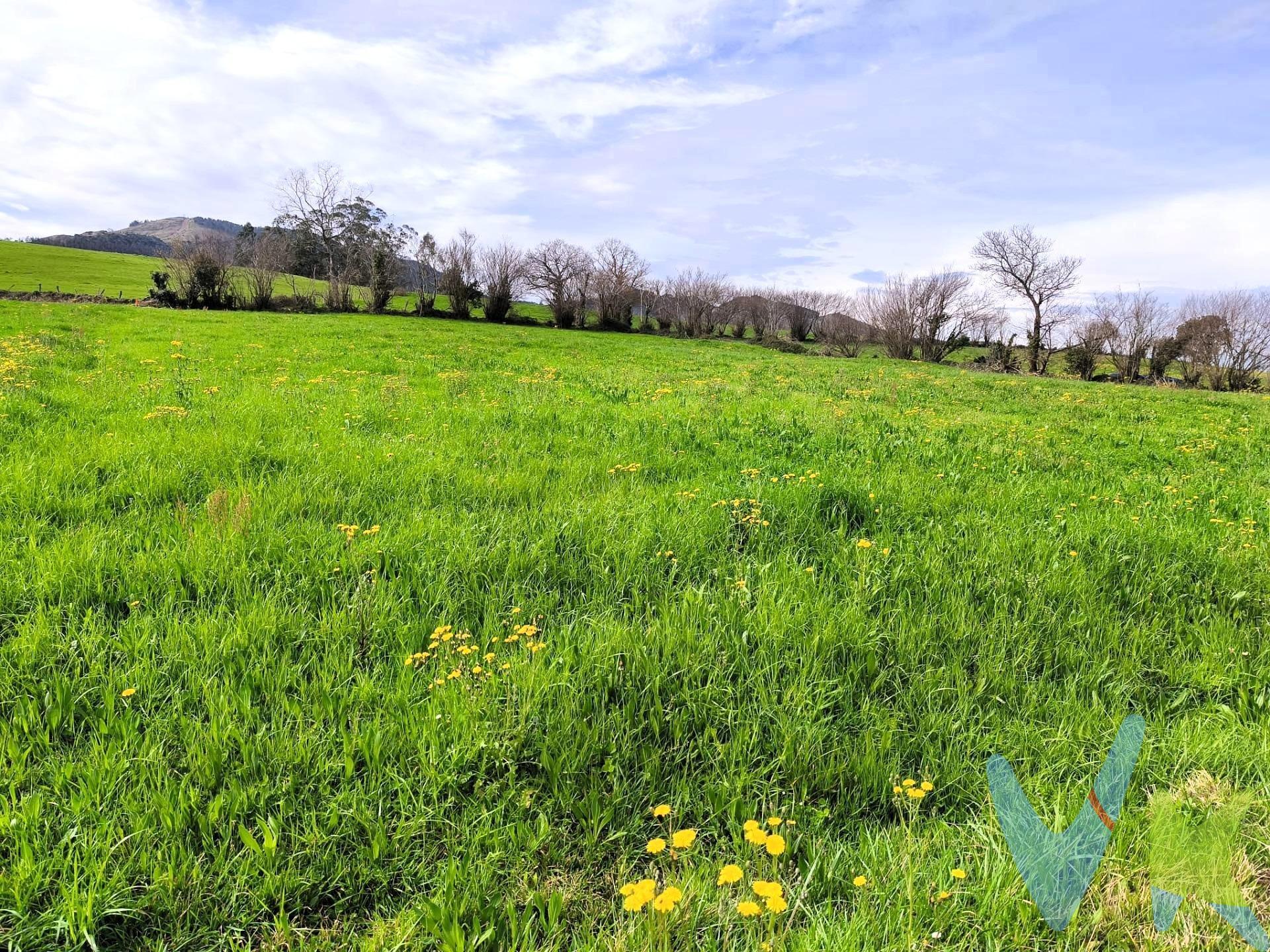 Descubre esta excelente oportunidad para adquirir un terreno rústico en la idílica zona de Lloreda de Cayón. Con una amplia superficie total de 5.700 m². El terreno se encuentra rodeado por un entorno natural privilegiado y disfruta del acceso a servicios esenciales como transporte público con autobuses cercanos, colegios y áreas infantiles que enriquecen la vida comunitaria. A tan solo unos minutos de Saron  pero lo suficientemente alejado para disfrutar de la tranquilidad rural, este terreno puede ser un refugio donde desconectar de la vida diaria. Totalmente llano. Contacta hoy mismo para obtener más información sobre esta atractiva oferta. Los impuestos , gastos de notaria y registro no están incluidos en el precio.