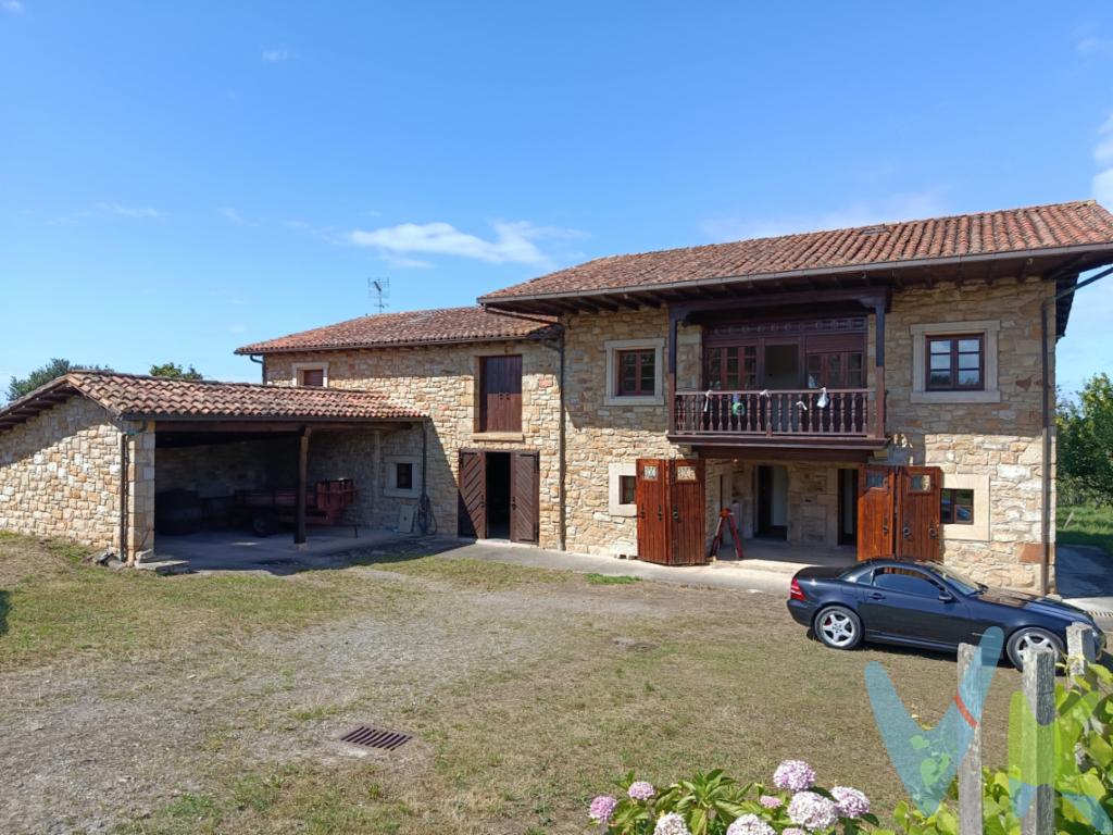Conjunto único, a 20 minutos de Gijón, a 10 minutos de Villaviciosa. Quintana. Autentica casa Mariñana  en Argüero con 20.000 m2 de Finca cerrada, casa de 2 plantas, reformada, construida a conciencia, fachadas de piedra realizadas por canteros ( con cámara ), tarima de castaño, portería de castaño, ventanas castaño con climalit, estructura de hormigón, tejados nuevos, interiores sin uso, anexo almacén con altillo 200 m2, garaje abierto 50 m2 , hórreo con altura nuevo,  todo en perfecto estado, para entrar a vivir:  gran finca cerrada de 20.000 m2 con pomarada de manzanos, kiwis, perales, etc.; acceso por carretera, pozo propio legalizado  + agua de traida (conexión pagada), conjunto único, a un paso de la costa y playas, Villaviciosa, Gijón, etc,  infórmese! 