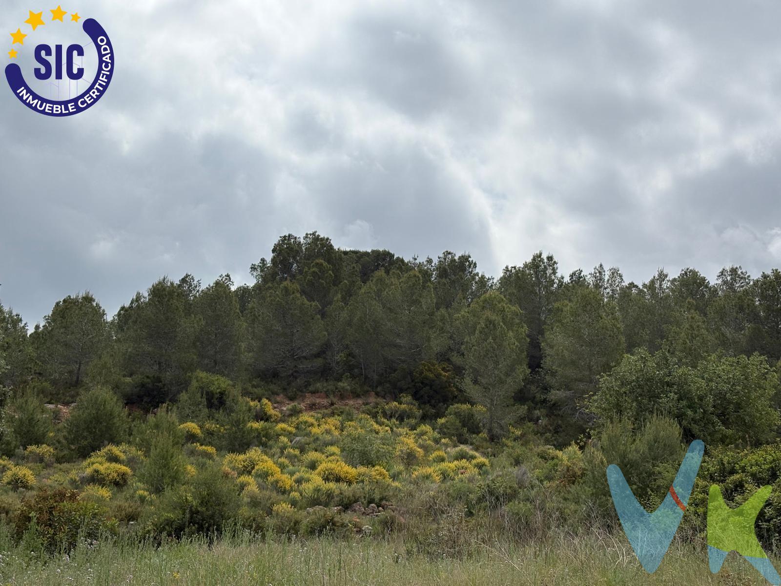 Se ofrece magnífico terreno rústico de 6.191 m² situado en Montroy, en un entorno tranquilo y rodeado de naturaleza, ideal para quienes buscan desconectar y disfrutar del aire libre a pocos minutos del núcleo urbano. Una parcela perfecta para uso agrícola, recreativo o simplemente como espacio privado donde pasar fines de semana, cultivar, instalar una zona de descanso o disfrutar de reuniones familiares en plena tranquilidad. Su amplitud y entorno natural convierten este terreno en una excelente oportunidad para quienes valoran la privacidad, el contacto con la naturaleza y la tranquilidad que ofrece la vida en el campo. Zona con buen acceso y mucho encanto, ideal para disfrutar del entorno rural y escapar del estrés diario. INFORMACIÓN LEGAL AL CONSUMIDOR:. El precio indicado no incluye impuestos ni gastos derivados de la compraventa. Gastos a cargo del comprador:. • Impuesto de Transmisiones Patrimoniales (ITP): En segundas transmisiones, el tipo general vigente en la Comunitat Valenciana es del 10% sobre la base imponible, que será el mayor valor entre el precio de compraventa, el valor declarado o el valor de referencia catastral, pudiendo aplicarse tipos reducidos según las circunstancias del comprador. • Honorarios de intermediación inmobiliaria: 4% del precio final de venta  con un mínimo de 4000€ + IVA (21%), a cargo del comprador. No incluidos en el precio de venta. • Notaría y Registro de la Propiedad: Los aranceles son oficiales y variables en función del precio y características de la operación. A título orientativo, entre 600 € y 1.000 €. Los gastos se distribuirán conforme a la normativa vigente, salvo pacto en contrario. Las condiciones pueden variar en función de las circunstancias personales y del régimen fiscal aplicable. Otros gastos:. • Gastos de financiación: Tasación, comisiones y condiciones bancarias según la entidad elegida por el comprador. • Gestoría: Servicio opcional, con costes variables en función del proveedor. • Podrán existir otros gastos inherentes a la formalización de la compraventa que correspondan al comprador según normativa vigente. El vendedor asumirá los gastos que legalmente le correspondan, salvo pacto en contrario. El inmueble no se encuentra sujeto, a fecha de publicación, a limitaciones de precio derivadas de normativa de zonas de mercado residencial tensionado. Se facilitará al cliente información detallada y personalizada de todos los costes asociados a la operación, así como la documentación relativa al inmueble, disponible en la sede física de la agencia - Av. Blasco Ibáñez 5 Bajo, 46970, Alaquàs (Valencia) y/o en el medio electrónico habilitado – www.inmueblesvalencianos.net. La agencia actúa exclusivamente como intermediaria en la operación. Cualquier compraventa queda sujeta a la aceptación expresa del vendedor y a la formalización del correspondiente contrato. El presente anuncio tiene carácter meramente informativo y no contractual, pudiendo estar sujeto a errores, cambios o actualizaciones.  . La venta de esta vivienda se gestiona mediante contrato de EXCLUSIVA COMPARTIDA por lo que se trabaja con cerca de 400 Inmobiliarias. 