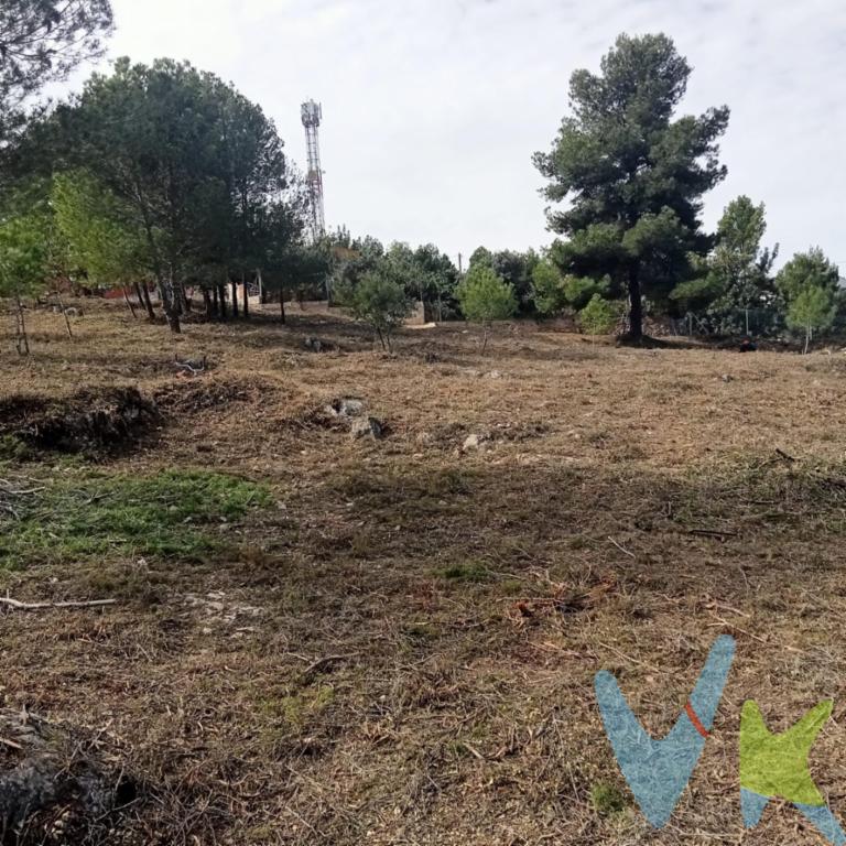 Venta de Terreno de 9.098 m² en Godelleta, Valencia. Oportunidad única de adquirir un amplio terreno de 9.098 m² en la tranquila y pintoresca localidad de Godelleta, en Valencia. Con una distribución versátil entre uso agrario y urbano y dividido en cinco referencias catastrales. Este terreno ofrece infinitas posibilidades para inversores, agricultores lo que lo hace ideal para múltiples proyectos. Distribución del Terreno:.  4.788 m² destinados a uso agrario, ideales para cultivos, huertos, viñedos o cualquier actividad agrícola sostenible.  4.310 m² de uso urbano, no está urbanizado. Pendiente de desarrollar, por lo que no es apto para edificar hasta que se efectúen las obras de urbanización. Características Destacadas:.  Cinco referencias catastrales, que facilitan la gestión de proyectos independientes o combinados según necesidades.  Ubicación estratégica: a solo 25 minutos de Valencia capital, con acceso rápido a carreteras principales y servicios urbanos.  Entorno natural y tranquilo: un lugar ideal para disfrutar de la paz del campo sin renunciar a la cercanía de la ciudad.  Versatilidad de usos: perfecto tanto para actividades agrícolas como para desarrollos mixtos.  4.310 m² de suelo urbano pendiente de desarrollar, por lo que no es apto para edificar hasta que se efectúen las obras de urbanización. Ideal para inversiones a medio/largo plazo. Ventajas Adicionales:.  Amplias posibilidades para personalizar y adaptar el terreno a tus necesidades.  Zona con clima mediterráneo y gran calidad de vida, ideal para proyectos sostenibles. Contáctanos hoy mismo para más información, conocer detalles de las referencias catastrales o concertar una visita al terreno. VENTA:. PVP 24.900€.  Gastos e impuestos no incluidos en el precio. La compra conlleva impuestos y gastos de formalización para el comprador. A título orientativo se informa que en segundas transmisiones el  ITP  con carácter general en  Valencia  es del  10%, pudiendo existir otros tipos impositivos atendiendo a  las circunstancias  personales del comprador u otras circunstancias previstas legalmente. Base imponible del impuesto el mayor valor entre el precio de compraventa, la tasación o el valor de referencia catastral. En cuanto a los gastos de  notaría y registro, en su caso,  suelen oscilar aprox; entre 1,5% y 2,5% (aranceles variables según precio, n.º de copias y complejidad). El comprador elige notario. Si el comprador precisase de  hipoteca: tasación, condiciones y costes bancarios serán según entidad elegida por el comprador, así como los gastos de gestoría, y cualesquiera otros gastos inherentes a la formalización de la compraventa que legalmente correspondan a la parte compradora, salvo pacto expreso en contrario con el vendedor. El consumidor tiene,  conforme a la normativa vigente, a su disposición información y documentación adicional relativa al inmueble y condiciones de la compraventa, que podrá ser consultada en C/Joaquín Costa 4, bajo 46005 Valencia o urbe2@remax.es. Honorarios de mediación inmobiliaria a cargo del  COMPRADOR: (3% del precio final de venta más IVA (21%), salvo otro pacto.); y  de VENDEDOR (según acuerdo con el mismo). . Se informa al consumidor que la agencia actúa como intermediaria inmobiliaria en la operación, estando cualquier eventual compraventa y sus condiciones sujeta a la aceptación expresa del propietario-vendedor y a la posterior formalización del correspondiente contrato.