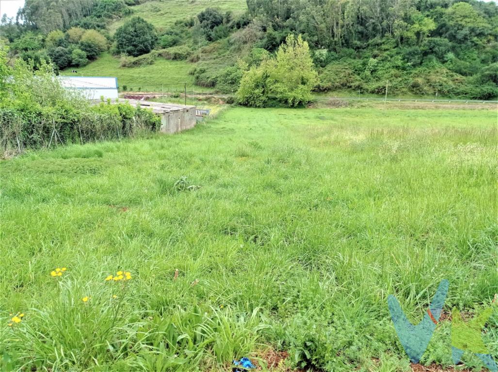 Si tienes claro que quieres estar más en contacto con la naturaleza, tener tu propia huerta, o porqué no, unas ovejas, etc.,  no dejes de valorar la opción que te ofrecemos.Se trata de una finca de casi mil metros cuadrados, donde disfrutarás siempre que quieras.Es una finca rústica, sólo apta para uso agrícola o ganadero, totalmente llana, por si necesitas trabajarla con maquinaria.Situada en la zona de Oreña, muy cerca de la bonita costa de Cantabria.¡Aprovecha ésta oportunidad!