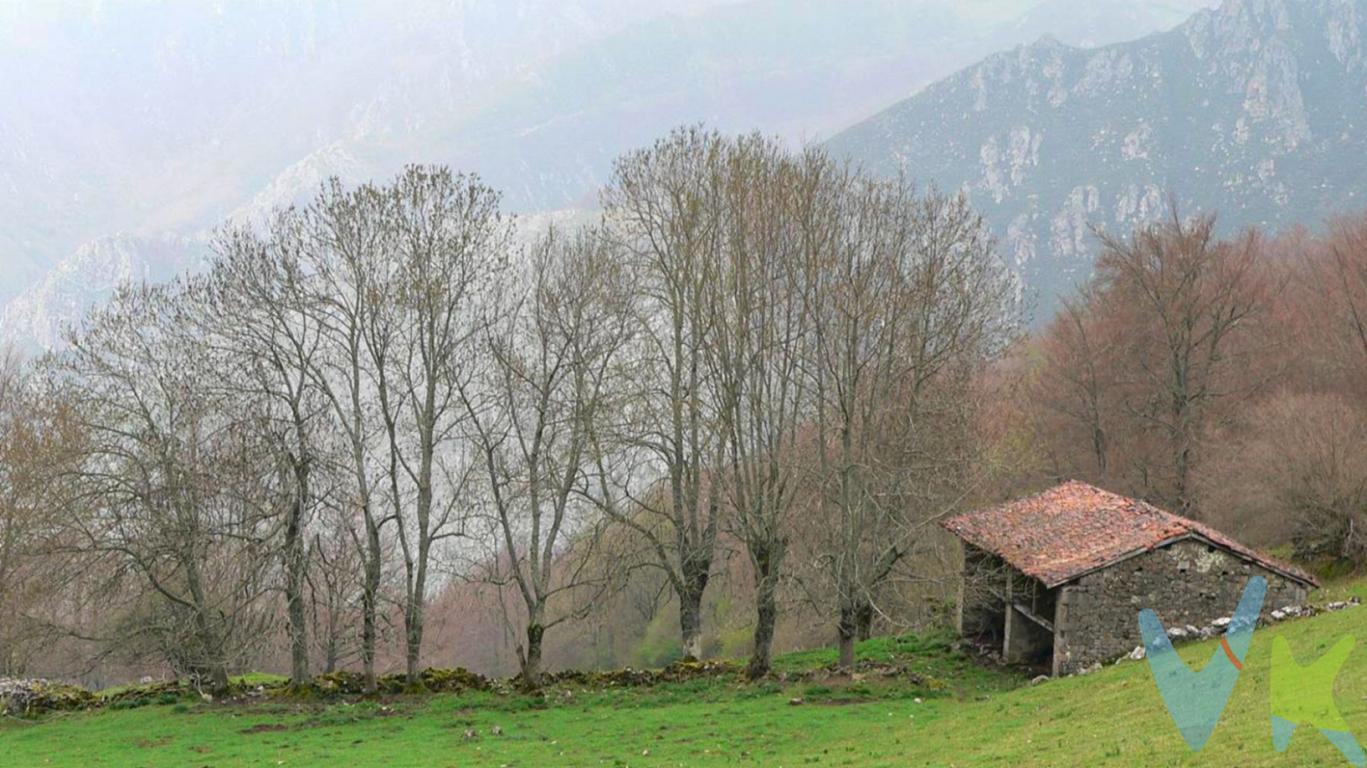 Si quiere disfrutar de la naturaleza, en pleno Parque Natural de Redes, dispone de esta finca de aprox. de 16 hectáreas en la montaña asturiana, dentro de la cual existe una cuadra y una cabaña de piedra de aprox. 100 m2 Actualmente el tejado está caído.
Dispone de agua de manantial. 
Acceso en todo-terreno.
Ideal para los que les guste la montaña y quieren alejarse de la ciudad.
El precio de la propiedad no incluye los gastos de impuesto de transmisiones patrimoniales, notariales ni de registro