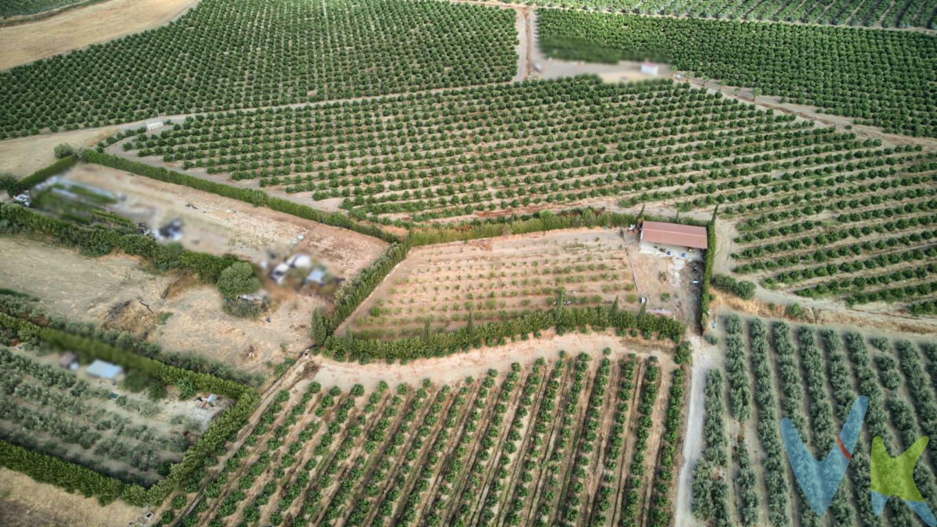 PRECIO DE VENTA: 75.000 € + GASTOS. Presentamos esta parcela rústica situada en El Viar, en un entorno tranquilo y rodeado de naturaleza. La finca cuenta con una superficie aproximada de 3.933 m² y dispone de una estructura de 10 x 18 metros, ideal como zona de recreo, almacenamiento o para disfrutar de reuniones y momentos al aire libre. En su interior encontramos dos estancias y un baño, además de una amplia zona cubierta. La parcela dispone también de una plantación de cítricos compuesta por aproximadamente:. * 150 naranjos. * 180 mandarinos. Una propiedad ideal para quienes buscan disfrutar del campo, contar con su propio terreno y disponer de una zona acondicionada en plena naturaleza. Precio: 75.000 € + gastos. Solicita más información o concierta una visita sin compromiso. . En cumplimiento de las obligaciones de información previstas en la Ley 10/2025, de 28 de diciembre, de servicios de atención a la clientela y transparencia, así como en la normativa sectorial vigente, se hace constar que el precio indicado no incluye los gastos e impuestos inherentes a la adquisición, los cuales se desglosan a continuación:. * Impuesto sobre Transmisiones Patrimoniales (ITP): Se aplicará el tipo impositivo vigente en la Comunidad Autónoma de Andalucía, generalmente el 7% (5.250 €), sin perjuicio de los tipos reducidos del 3,5%, 1,2% o 1% aplicables según las circunstancias personales del comprador o las características del inmueble. El impuesto se devenga sobre el Valor de Referencia de Catastro o el precio de venta, aquel que resulte superior. * Gastos de Notaría: Los honorarios notariales se calcularán conforme al arancel oficial regulado en el Anexo I del Real Decreto 1426/1989, de 17 de noviembre, por el que se aprueba el arancel Notarial. * Gastos de Registro: La inscripción en el Registro de la Propiedad se facturará según el arancel oficial establecido en el Anexo I del Real Decreto 1427/1989, de 17 de noviembre. * Gastos de Gestión (Gestoría): Los honorarios por la tramitación administrativa, liquidación de impuestos e inscripción registral ascienden a 545,00 € aproximadamente (IVA incluido). * Honorarios Agencia del Vendedor: incluidos en el PVP. * Honorarios Agencia del comprador: La agencia prestará los servicios de información, asesoramiento y acompañamiento previstos en el Encargo de Servicios y en el D.I.A. Si solicita servicios adicionales o personalizados, sus honorarios serán informados previamente, de forma individualizada y por escrito, conforme a la libertad de pactos y a la normativa vigente. NO VINCULADOS AL PRECIO DE COMPRA. Para una información exhaustiva sobre el funcionamiento, tipos impositivos y bonificaciones del ITP en Andalucía, puede consultar el portal oficial de la Agencia Tributaria de la Junta de Andalucía en el siguiente enlace: https://www.juntadeandalucia.es/organismos/economiahaciendayfondoseuropeos/areas/trib utos-juego/tributos/paginas/impuestos-cedidos-transmisiones.html; .  Documento D. I. A. a disposición del consumidor según Decreto 218/2005 Junta de Andalucía. 
