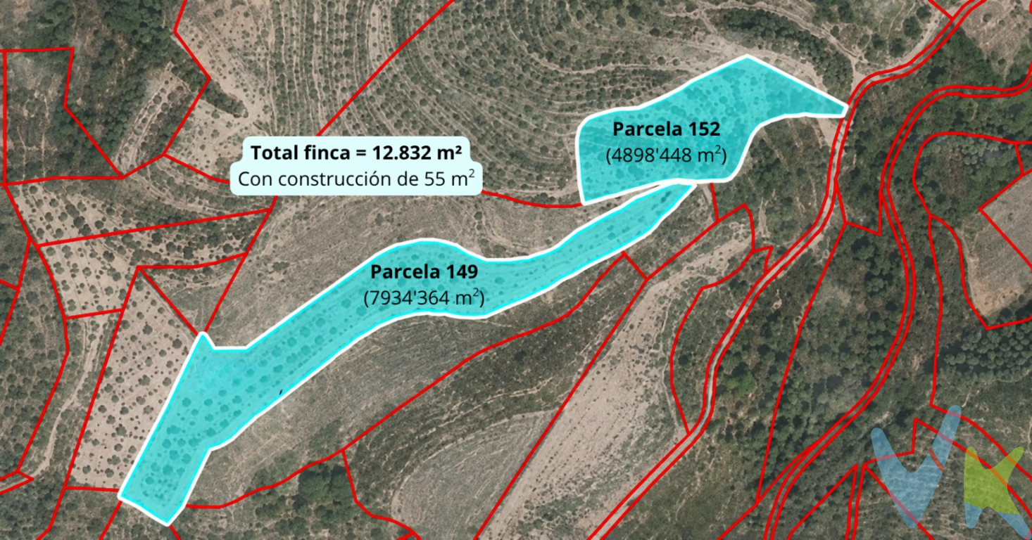 Magnífica finca rústica de 12.832 m² situada en Jérica (Castellón), formada por dos parcelas colindantes de olivar con aproximadamente 200 olivos y 80 almendros. Dispone de caseta de 55 m², aljibe de agua y terreno aterrazado con bancales tradicionales. Ubicada en un entorno de montaña con excelentes vistas, ofrece tranquilidad, privacidad y la posibilidad de acceder al coto de caza de la zona. A tan solo una hora de la playa, es una oportunidad ideal tanto para uso agrícola como para disfrutar de la naturaleza.