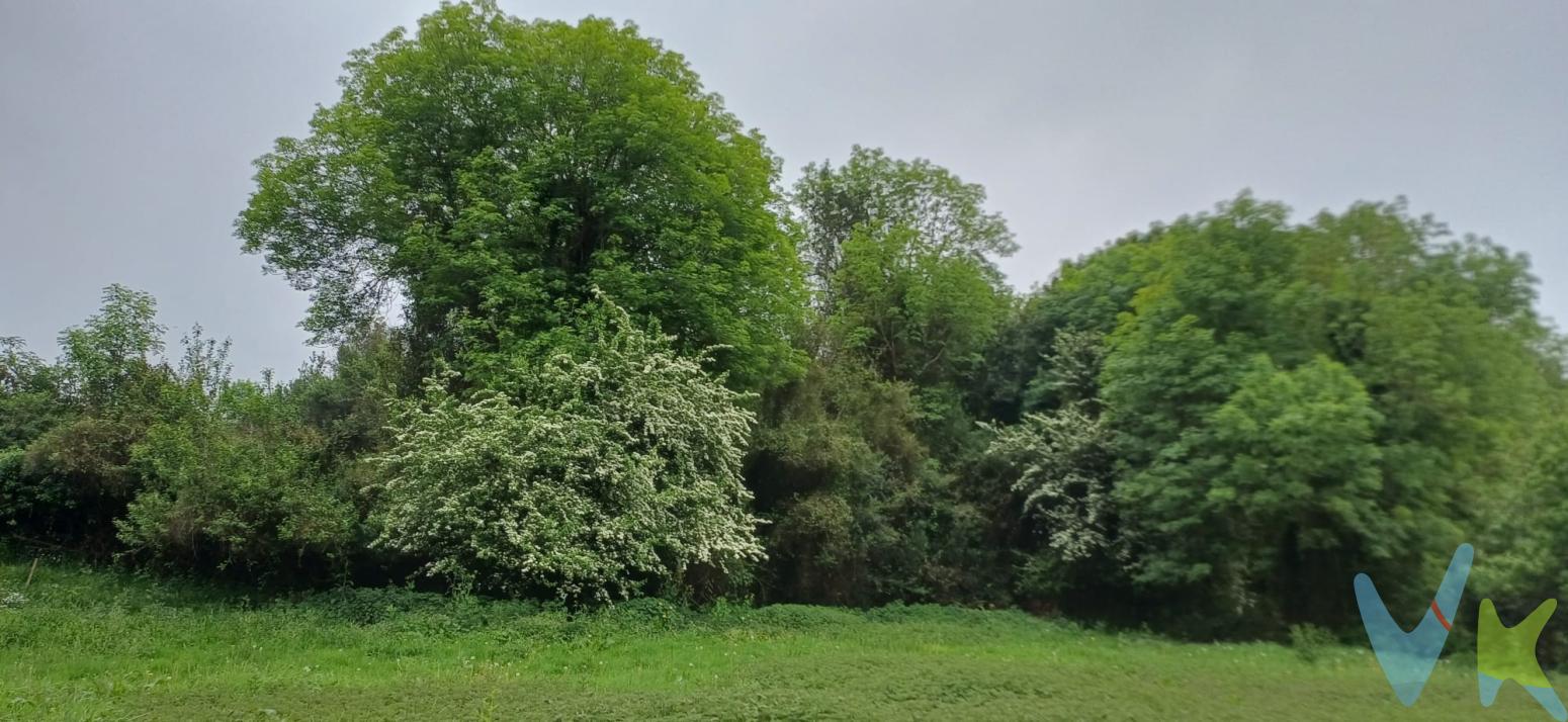  Se ofrece en venta una extraordinaria finca edificable ubicada en el encantador concejo de Salas. Esta impresionante propiedad es una excelente oportunidad para aquellos que buscan un espacio generoso donde desarrollar su proyecto de ensueño. Con una superficie de parcela amplia, la finca brinda la posibilidad de construir hasta 300 metros cuadrados, lo que la convierte en la opción perfecta para construir una vivienda a medida o desarrollar un proyecto residencial.Ubicado en un entorno tranquilo y pintoresco, este terreno ofrece un escape ideal de la vida urbana, sin renunciar a la comodidad de tener servicios esenciales a su disposición. La finca cuenta con un eficiente sistema de alcantarillado ya instalado, lo que facilita el inicio del proceso de edificación y ahorra preocupaciones adicionales. Este beneficio, junto con las características del terreno, confiere a la propiedad un alto valor añadido.El concejo de Salas es conocido por su atmosférica cultura local, marcada por festividades, patrimonio arquitectónico y una industria culinaria en auge, lo que proporciona un abanico de actividades y experiencias para disfrutar.Con todas estas prestaciones, esta finca se perfila como una inversión segura y de futuro. Aquellos interesados no deben dejar escapar la ocasión de visitar la propiedad y dejarse seducir por su amplitud y potencial. Les invitamos a conocer de primera mano este espléndido terreno, donde su proyecto constructivo puede convertirse en una realidad.NOTA IMPORTANTE SOLO SE ATENDERÁN A INTERESADOS QUE DEJEN SU NUMERO DE TELEFONO.  En RK Iglesias, agencia certificada AIR, te acompañamos en todo el proceso con un enfoque basado en seguridad jurídica (nota simple, actas, certificados de deuda), seguridad técnica (CEE, revisión especializada), gestión operativa (tus entregas están protegidas con seguro de caución  Crédito y Caución, Póliza 4.211.614), transparencia financiera ) y servicios postventa reales (furgoneta sin coste para tu mudanza), entre otros servicios exclusivos. El precio de venta no incluye gastos de notaría, registro de la propiedad, gestoría, ni el Impuesto de Transmisiones Patrimoniales (ITP) o el IVA/AJD. HONORARIOS: El precio de venta no incluye los honorarios que se devengan a cargo del cliente comprador por la prestación de servicios de asesoramiento y gestión documental. El importe asciende al 2%, con un mínimo de 2.000 EUR, del Precio de Venta (IVA no incluido). 