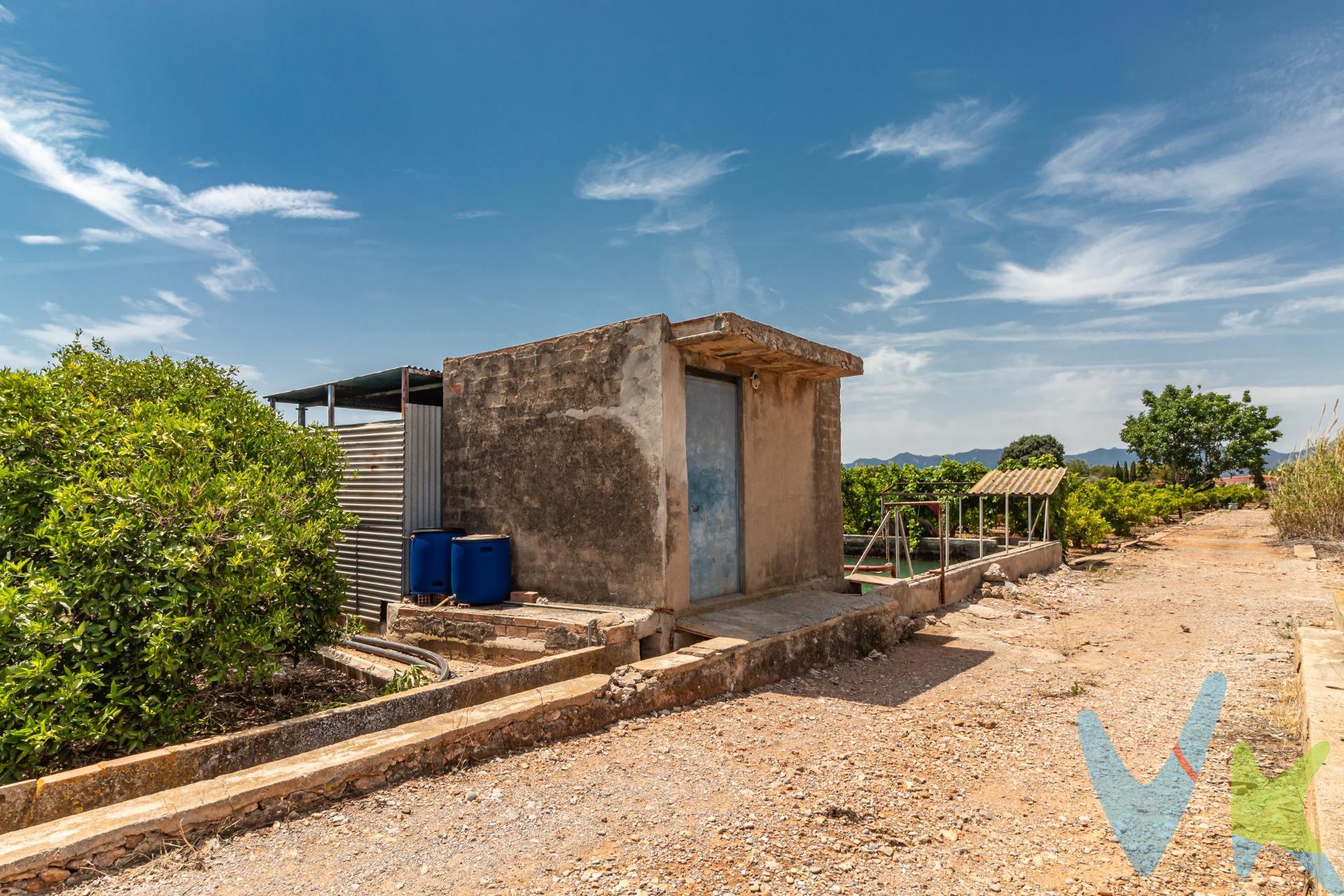 Se vende terreno no urbano situado en la zona de Partida Pinella, Vila-real. El terreno cuenta con una superficie total de 11400m². El terreno dispone de agua a través de una balsa que se llena de agua que proviene del pozo El Mijares del que le corresponden 13,5 acciones y conexión eléctrica rural, brindando las comodidades necesarias para su uso o desarrollo futuro. Este espacio ofrece múltiples posibilidades tanto para particulares como inversores interesados en desarrollar proyectos rurales o agrícolas. Su ubicación estratégica cerca del núcleo urbano garantiza acceso a servicios básicos mientras se mantiene la tranquilidad propia del entorno rural. ¡No lo dudes y contacto con nosotros para más información!