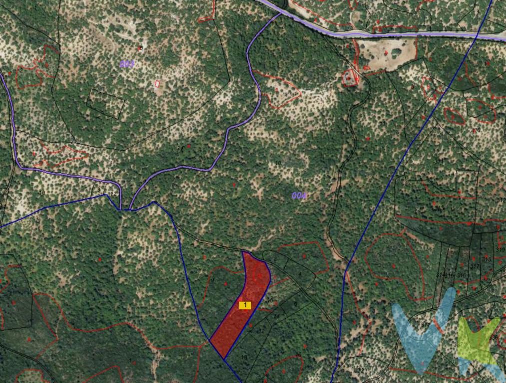 ANUNCIO EXCLUSIVO: Finca Rústica en Pleno Parque Natural de la Sierra de Aracena y Picos de Aroche
Tu Refugio Andaluz en Fuenteheridos (Huelva): Naturaleza, Paz y Potencial
Adéntrate en la naturaleza. Presentamos esta joya rústica, un auténtico oasis en el corazón del Parque Natural de la Sierra de Aracena y Picos de Aroche, una de las áreas protegidas más bellas de Andalucía.
Ubicada en el encantador municipio de Fuenteheridos, conocido por su nacimiento del Río Odiel y su arquitectura tradicional, esta finca te ofrece la oportunidad de desconectar y vivir una vida más serena.
Características que te Enamorarán:
•	Superficie: 20.424 m² de terreno virgen, un lienzo en blanco para tu proyecto de vida.
•	Construcción: Casa Monte a reformar de 43 m² registrada, ideal como base para tus escapadas y convertirla en tu refugio personal.
•	Ubicación Premium: Integrada en el Parque Natural, garantizando unas vistas y un entorno natural protegidos y de ensueño.
•	Potencial de Suministros:
o	Agua Propia: Dispone de un pozo en proceso de legalización, un recurso esencial.
o	Sostenibilidad: Posibilidad de instalar placas solares para una vida ecológica y autosuficiente.Una inversión excepcional para asegurar tu parcela de paraíso en la Sierra de Huelva.)

Un Paraje Inigualable:
Imagina pasear por tu propia tierra, respirando aire puro y observando la flora y fauna autóctona. Este terreno ofrece sombra de castaños, encinas y alcornoques, y un microclima perfecto para huertos ecológicos o simplemente para disfrutar del silencio. Es el lugar perfecto para los amantes del senderismo, la micología y la observación de estrellas.
¡Esta finca no es solo una propiedad, es la puerta de entrada a un estilo de vida!

Aclaración Legal Importante para el Comprador
Dada su ubicación en el Parque Natural Sierra de Aracena y Picos de Aroche, esta finca está sujeta a la normativa específica del área protegida. El uso y las actividades a desarrollar se acogen al Plan Rector de uso y Gestión PRUG del parque natural.
Para cualquier proyecto de construcción, reforma o cambio de uso que se deseé realizar en la finca, es imprescindible y obligatorio acudir y consultar previamente al Ayuntamiento de Fuenteheridos, que determinará la viabilidad y los requisitos según la legislación vigente del parque.
Recomendación: Aconsejamos a los futuros compradores consultar el PRUG y contactar con el ayuntamiento para confirmar la viabilidad de su proyecto antes de la adquisición.
No dejes escapar esta oportunidad única de poseer un trozo de la maravillosa Sierra de Huelva. ¡Llama ahora y agenda tu visita!
¿Es español o extranjero y necesita financiación para poder comprarla? Le ayudamos a conseguirla con las mejores condiciones del mercado. 
¿Busca una casa de campo pero su estilo es otro? Contacte con nosotros, seguro que tenemos la casa de tus sueños en Huelva, Sevilla, Cádiz y el resto de Andalucía. 
Tenemos más de 20 años ayudando a personas a comprar o vender sus propiedades. 
Informamos a nuestros clientes que el precio de venta no incluye lo siguiente: Honorarios de la agencia inmobiliaria, impuestos (el Impuesto de Transmisiones Patrimoniales, IVA o AJD, en su caso), otros gastos de la compraventa (gastos de registro de la Propiedad, Notaría, gestión ni de posible financiación). Documento DIA a disposición del consumidor según Decreto 218/2005 Junta de Andalucía. IMG

Inmobiliaria especialista en la Sierra de Huelva: Convierte tu sueño rural en realidad.