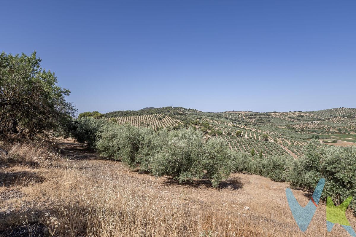 Finca rústica de 20.000 m2 en Montefrío. Se vende finca rústica situada a tan solo 4 km del bonito pueblo de Montefrío, con excelente acceso por carril. 🔹 20.000 m² con olivar productivo. Cuenta con unos 400 olivos en plena producción. El acceso es cómodo y directo desde el pueblo, ideal tanto para explotación agrícola como inversión rural. 💰 Precio: 80.000 €. 👉  Una excelente inversión para uso agrícola o recreativo. Llámenos y le ampliaremos información sin compromiso. . Ref. N347. * El PVP indicado no incluye impuestos ni gastos de Escritura. * Honorarios agencia no incluidos. * Las superficies expresadas en esta página tienen carácter descriptivo y son aproximadas. * Los precios pueden ser susceptibles de modificación sin previo aviso. 