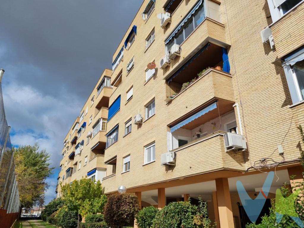 Nuevo milenio te presenta esta excelente vivienda de 4 dormitorios con armarios empotrados y 2 baños completos, uno de ellos con ventana. Amplia TERRAZA orientada a la puesta del sol, salón independiente, cocina con espacio para comer y tendedero con despensa. Finca con ascensor y calefacción central de alta eficiencia energética. 

Ubicada junto al Parque Finca Liana, en Móstoles, a 5 minutos de la Renfe Móstoles-El Soto. Frente al C.E.I.P Pablo Sarasate. Situada en urbanización privada con zonas comunes ajardinadas y PISCINA.

El precio de la vivienda incluye amplia PLAZA DE GARAJE en la misma finca.

Inmueble muy bien cuidado, en perfecto estado de conservación, con una ubicación y orientación privilegiadas. En definitiva, el hogar ideal para quienes buscan espacio, comodidad y calidad de vida en una de las zonas más demandadas de Móstoles.

¡Solicita tu visita y aprovecha esta gran oportunidad!.

El comprador tendrá un coste adicional de un 1,5%, IVA no incluido, sobre el precio publicado, por el servicio de gestión, asesoramiento y formalización del proceso de compra. Este importe no está incluido en el precio publicado en venta y será facturado al comprador.