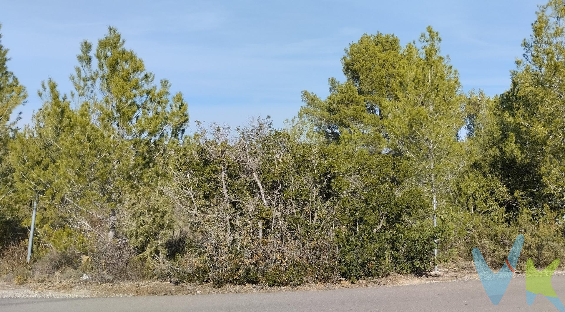 En el corazón de la provincia de Valencia, se encuentra una parcela rústica en venta, en un entorno natural privilegiado, en el municipio de Godelleta. . Esta propiedad, tiene una superficie de 2910m2. Cuenta con una hermosa vista al paisaje natural, tiene un acceso asfaltado, lo que garantiza su fácil acceso. El entorno natural de esta parcela rústica es uno de sus mayores encantos, este lugar es ideal para el desarrollo de actividades al aire libre. . Es perfecto para aquellos que buscan disfrutar de la naturaleza y alejarse del ruido y del estrés de las ciudades. El clima en la zona es suave y mediterráneo, con una temperatura media anual de alrededor de 20-25 grados. . La abundancia de sol y la brisa fresca que sopla desde el mar Mediterráneo hace que esta parcela rústica sea un lugar ideal para disfrutar del aire libre durante todo el año. Esta parcela rústica también se encuentra a 2 kilómetros del centro urbano de Godelleta, lo que la hace perfecta para aquellos que están buscando la tranquilidad de la vida en el campo sin perder las comodidades de una ciudad cercana. La descripción del presente inmueble e imágenes tienen mero carácter informativo y en ningún caso carácter contractual, pudiendo ser modificados por la inmobiliaria comercializadora sin que ello implique responsabilidad alguna frente a terceros. En el precio de venta a público, esta propiedad NO incluye los gastos de adquisición (Notario, registro, gestión, honorarios, etc…).