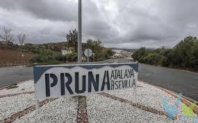 Gran oportunidad en Pruna!!!. Terreno de 150m2 junto centro de salud. Ideal para construir la vivienda de sus sueños. En zona tranquila y cerca de comercios, colegios, parques.-... Consulte más información sin compromiso. Informamos a nuestros clientes compradores que el precio de venta no incluye lo siguiente: Honorarios de la agencia inmobiliaria, Impuestos (I.T.P., I.V.A. o A.J.D., en su caso) ni otros gastos de la compraventa (gastos de Registro de la Propiedad, Notaría, Gestoría ni de posible Financiación). Documento F.I.S. a disposición del consumidor según Decreto 218/2005 Junta de Andalucía.