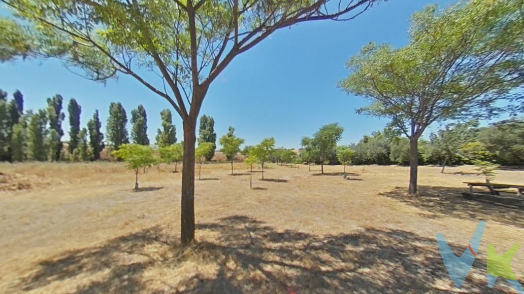 CERCA DE MADRID, se vende casa rustica a una distancia del pueblo de Santa Olalla de 5 kms. En plena naturaleza con una superficie de parcela de 8.856m2 vallada y una vivienda de 113m2. Cuenta con Piscina de 15m2, 2 aljibes, un pozo y suministro de electricidad.
La vivienda es de una planta, con 3 dormitorios y un cuarto de baño con mampara y bañera. La cocina se entrega amueblada y con 1 frigorífico. Tiene despensa. Cuenta con dos patios, varios trasteros y cocina exterior. Tiene un porche delantero ideal para poner muebles de jardín.
Tiene una caldera de gasoil, sin utilizar, chimenea francesa, estufa de leños, y aire acondicionado en el comedor. El agua caliente es por calentador de butano.
Las ventanas son de aluminio sin climalit y dos de ellas son de hierro en dos dormitorios.
En un dormitorio se encuentra un armario empotrado. El resto de la casa se entrega sin amueblar, excepto la cocina con muebles y un frigorífico.
Cubierta en buen estado, sin humedades ni goteras.
Las paredes son lisas en color blanco, suelo de terrazo y puertas de contrachapado.
Se construyó en el año 1970. La parcela esta vallada y con varias fuentes de agua de pozo.
La distancia a Santa Olalla es de 6 kms y a Torrijos de 12 kms. Los pueblos cercanos cuentan con centro de salud, colegios, supermercados, etc.
Distancia a Madrid, 80 kms.
IBI 140€ al año
Orientación este la entrada al terreno, piscina y la puerta principal de la vivienda. Orientación Oeste el patio trasero. 
Es un lugar ideal para vivir, tener animales (Caballos, perros, etc.), o para los fines de semana. Ven a conocerlo.
Honorarios de intermediación inmobiliaria no incluidos en el precio.
Información válida salvo error tipográfico.