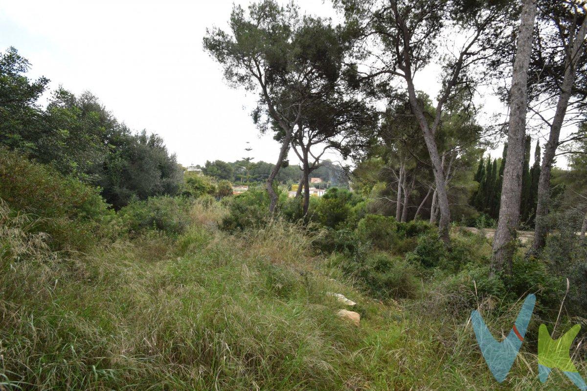 Tres parcelas en venta en la zona de Corral d'en MIlà. El total de superficie es 1563m2 y las parcelas son de 518m2, 521m2 i 524m2. Estan ubicadas en zona rústica. El precio no incluye impuestos (ITP, IVA ni AJD), ni los gastos de notario ni los de registro.