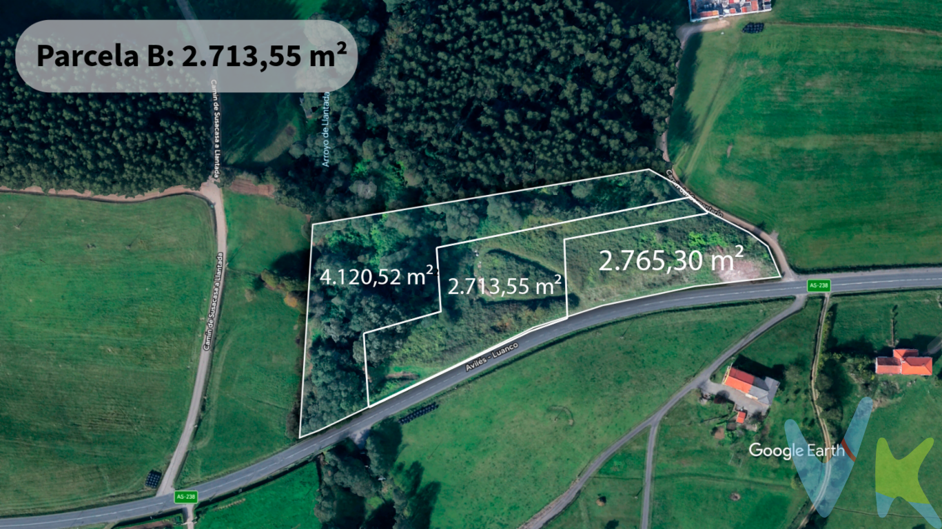 Perfecta combinación de comodidad y entorno rural. Esta parcela de 2.713,55 m² ofrece el tamaño ideal para quienes buscan una propiedad manejable sin renunciar a la libertad del campo asturiano. Su ubicación estratégica dentro del núcleo de Llantada garantiza un acceso cómodo y rápido, siendo una oportunidad excelente para desarrollar un proyecto residencial a medida.Detalles destacados:Superficie: 2.713,55 m² totales (2.513,21 m² netos en núcleo rural).Edificabilidad: Autorizada para vivienda unifamiliar, cumpliendo con la parcela mínima de 2.500 m² exigida por el PGO de Gozón.Ubicación: Situada entre las parcelas A y C, con acceso directo y fachada al vial público.El proceso de compraventa se formalizará una vez obtenida la aprobación definitiva del Proyecto de Parcelación por el Ayuntamiento de Gozón. Todo el procedimiento concluirá, como no puede ser de otra forma, con la firma de la escritura pública y su correspondiente inscripción en el Registro de la Propiedad, garantizando así la máxima seguridad jurídica en su inversión.El precio de venta no incluye los gastos e impuestos derivados de la operación. Corresponden al comprador el pago del Impuesto sobre Transmisiones Patrimoniales (ITP), calculado sobre el valor más alto entre el precio de venta y el valor de referencia catastral, así como los honorarios de notaría y registro según aranceles oficiales, teniendo el comprador libertad para elegir notario. Para consultar los porcentajes del ITP en Asturias puede hacerlo a través de la web oficial de servicios tributarios del Principado de Asturias https://sede.tributasenasturias.es/sites/sede/default/es_ES/Que-quieres hacer/Transmisiones-Patrimoniales-y-AJD. Asimismo, el comprador asumirá los gastos de tasación y costes bancarios si precisa hipoteca. Por su parte, el vendedor asumirá el pago de la plusvalía municipal y los honorarios de intermediación. Este anuncio es meramente informativo y los interesados tienen derecho a solicitar la documentación adicional del inmueble conforme a la normativa vigente. 