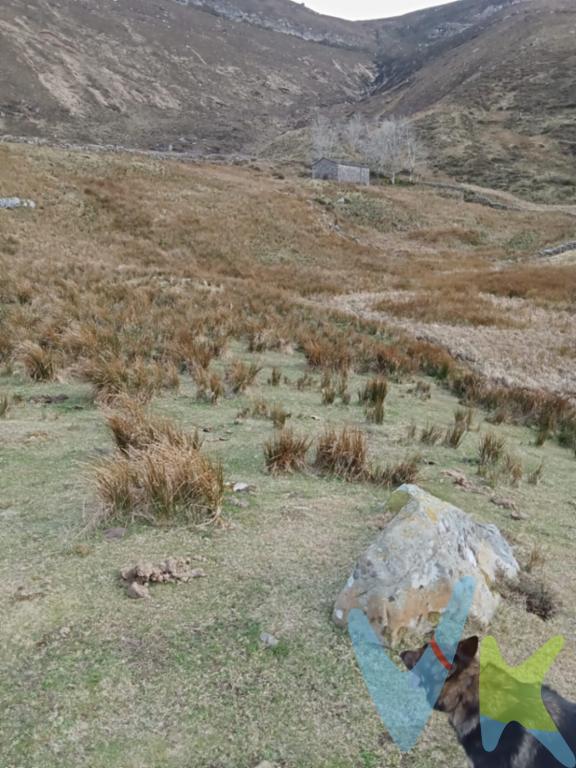 EN LA PARTE MÁS ALTA DE SAN PEDRO DEL ROMERAL, EN BUSTALEGUIN, presentamos esta maravillosa finca de más de 40.000m2 con dos cabañas en ella.Una de ellas, de aproximadamente 50 m2 construidos y con el tejado en buen estado, y la otra, de unos 40 m2 construidos y con el tejado hundido.El agua es de manantial, no tiene luz y el acceso a día de hoy es malo, pero se está CONSTRUYENDO UNA PISTA QUE LLEGARÁ A LA MISMA LINDE DE LA FINCA, y que quedará a unos 200 m2 de una de las cabañas.El entorno no puede ser más idílico, y las vistas son maravillosas.Es una oportunidad única si quieres alejarte del mundanal ruido cuando estés de vacaciones o para alquiler vacacional. Seguro que en este sentido sería un lugar muy valorado.¡¡LLÁMANOS Y TE INFORMAREMOS SIN COMPROMISO, Y PODRÁS VISITARLAS Y VER POR TI MISMO LA OPORTUNIDAD DE QUE TE HABLO!!Los precios mostrados no incluyen impuestos, gastos de compraventa ni financiación.