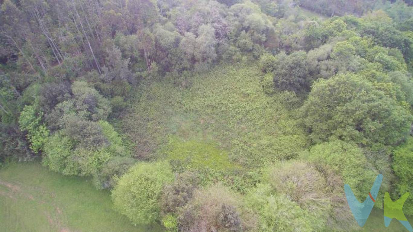¿Te gustaría tener tu propio rincón verde en Cantabria?Esta parcela rústica en Novales, a un paso de la preciosa costa cántabra, es justo lo que estás buscando si sueñas con cultivar tu propia huerta, criar animales o simplemente desconectar rodeado de naturaleza.El terreno es amplio, perfecto para plantar tomates, calabacines, árboles frutales lo que se te ocurra. Imagínate recogiendo tus propias hortalizas o fruta, sabiendo que todo lo que comes lo has cultivado tú.Además, está en una zona tranquila, con vistas despejadas y ese aire puro que solo se respira en el norte. Ideal para quien quiere empezar un proyecto agrícola, ganadero o simplemente tener su propio paraíso natural. Ven a verlo sin compromiso. Te aseguro que cuando pongas un pie allí, vas a empezar a imaginar todo lo que podrías hacer.