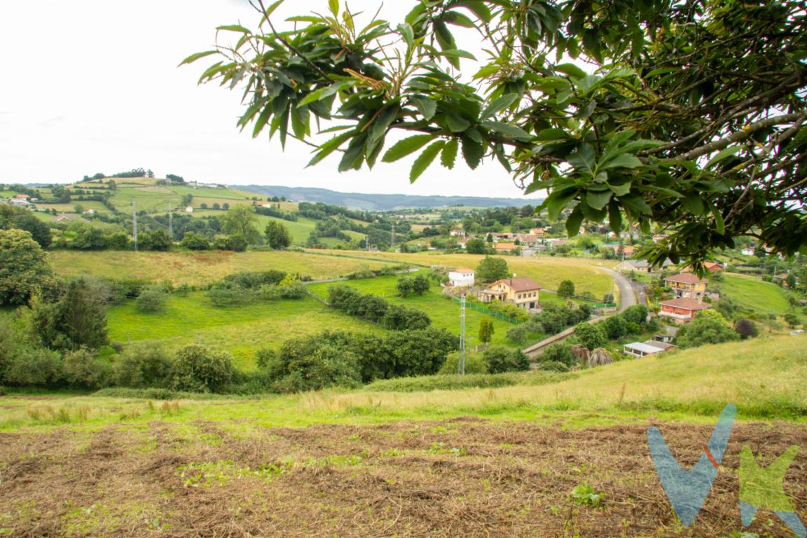 Venta finca zona Cenero Gijón.Se vende magnífica finca en la zona de Cenero en Gijón, ideal para aquellos que buscan un lugar tranquilo y con amplias posibilidades de construcción. Esta amplia parcela cuenta con  edificación de hasta 300 metros cuadrados.Con acceso cercano al tren y al autobús, esta ubicación es perfecta para aquellos que buscan la combinación perfecta entre tranquilidad y accesibilidad. La finca se encuentra en un entorno rodeado de naturaleza, ideal para desconectar del bullicio de la ciudad.Con una extensión de terreno que permite la construcción de una vivienda amplia y cómoda, esta finca ofrece la posibilidad de diseñar la casa de tus sueños, adaptada a tus necesidades y gustos. ¿Te imaginas despertar cada mañana con vistas a la montaña y respirar aire puro?Imagina despertar cada mañana con el cantar de los pájaros y respirar aire puro mientras disfrutas de un desayuno en tu terraza con vistas panorámicas. O relajarte en el jardín al atardecer, escuchando el suave sonido de la brisa entre los árboles.La ubicación es inmejorable. A tan solo 15 minutos de Gijón, podrás disfrutar de todos los servicios y comodidades que una gran ciudad ofrece, sin renunciar a la tranquilidad y calidad de vida que te proporciona vivir en una zona residencial como Cenero.Además, la finca se encuentra cerca de importantes vías de comunicación, lo que te permitirá desplazarte fácilmente y llegar a cualquier lugar en poco tiempo. Y si eres amante de los deportes al aire libre, estarás rodeado de hermosos paisajes y rutas para practicar senderismo y ciclismo.No pierdas la oportunidad de visitar esta magnífica finca edificable en la zona de Cenero, en Gijón. Cualquier duda o pregunta que tengas. Estaremos encantados de ayudarte.Llama ahora y reserva tu visita. ¡No dejes pasar esta oportunidad única de construir la casa de tus sueños en un entorno privilegiado!!! 