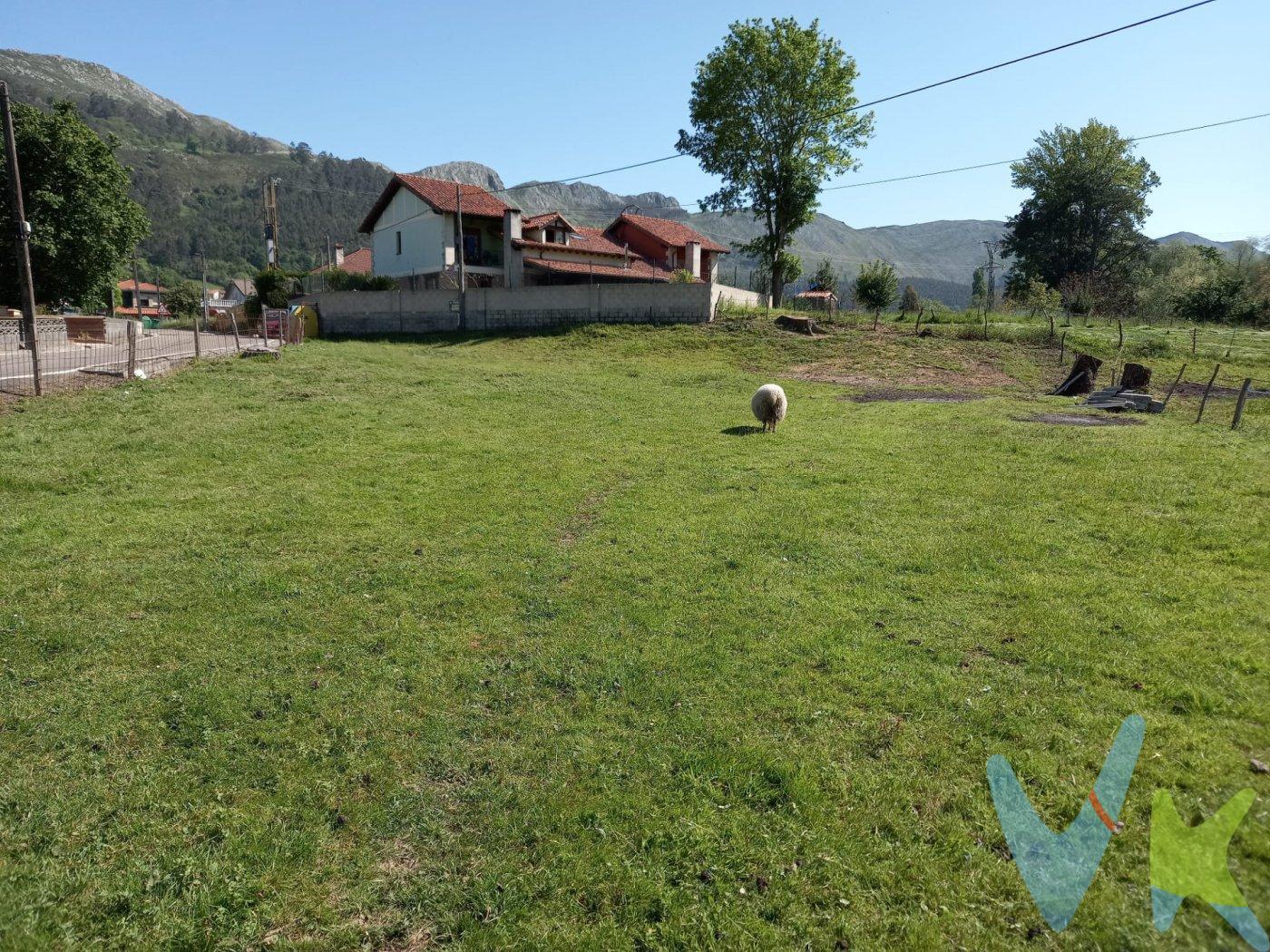 Parcela de terreno urbano en San Felices de Buelna - Cantabria.  .  La finca se encuentra a 45 minutos de Santander en el centro geográfico de la Región, junto al eje de la autovía A-67.  .  Su ubicación, sin duda, es una de las mejores del municipio de San Felices de Buelna, se encuentra en el ramal que comunica el centro del municipio con la CA-170 que une la Autovía de la Meseta con Puente Viesgo.  .  Urbanísticamente, la parcela está calificada como suelo urbano residencial de baja densidad. Tiene una edificabilidad de 498 m² y está permitida la construcción de vivienda unifamiliar en cualquier categoría (consultar otros usos permitidos).  .  La orografía del terreno es totalmente llana, tiene aproximadamente sesenta metros de frente a vial y servicio de electricidad, agua y alcantarillado a pie de parcela.  .  La parcela se encuentra en la zona más tranquila .  del barrio de Sopenilla, está rodeada de casas pero al mismo tiempo independiente y con intimidad.  Como dijimos al principio, la conexión con la autovía es óptima en esta zona, lo que permite disfrutar de buenas combinaciones de transportes públicos con poblaciones relevantes de Cantabria, como son Los Corrales de Buelna, Torrelavega o Puente Viesgo.  A poco más de un kilómetro de la parcela se encuentra el núcleo urbano de San Felices, en donde se dispone de servicios como el Colegio Público, el Consultorio Médico, las Piscinas Municipales e incluso de supermercados y locales de hostelería.  .  San Felices de Buelna es un municipio que destaca por lo cuidado de sus infraestructuras y el bajo coste de sus tasas e impuestos municipales.  .  Gastos de la transacción:.  La compra de la finca está gravada con el impuesto de transmisiones patrimoniales, cuyo tipo impositivo es del 10%.  El coste de notario y Registro de la Propiedad es de cuenta del comprador.  El comprador no tiene ningún gasto por los servicios de la agencia inmobiliaria.  .  .  