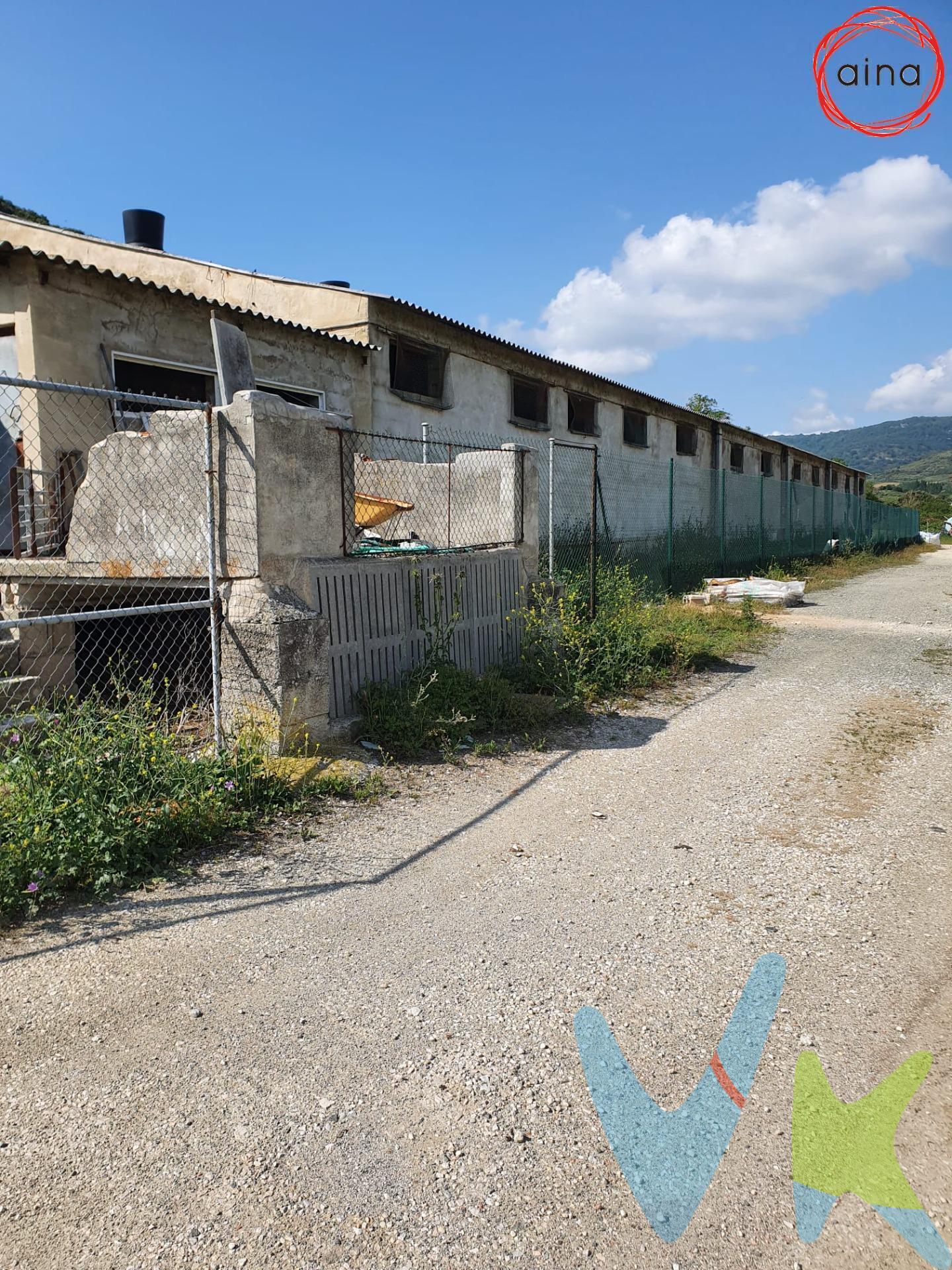 En Salinas de Oro,  se vende granja de engorde de cerdos, con capacidad para 1.200 plazas, con fosa exterior para el purín y una caseta para material. Está ubicada en un terreno de 8.030 m2. Buen acceso para camiones. Actualmente en perfecto funcionamiento. Comederos automáticos y sus respectivos silos de pienso. Suministro de agua particular y de red.  Lista para continuar la explotación. 