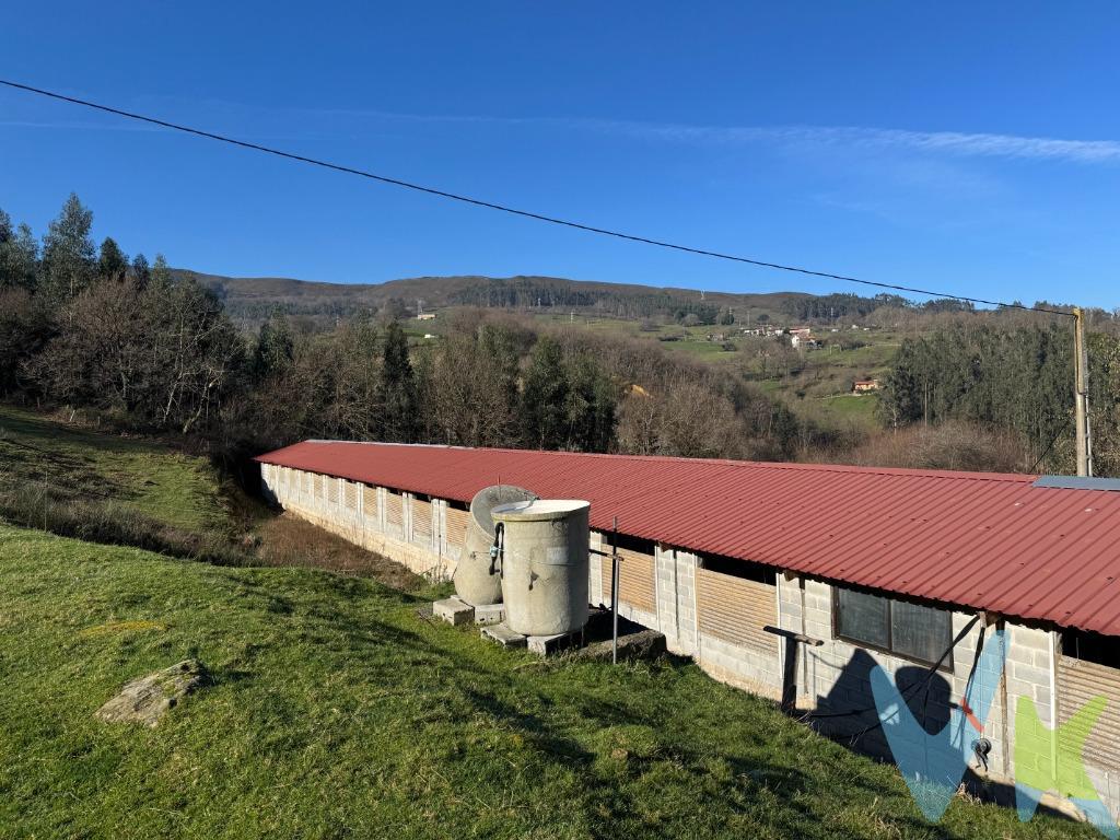 Nave ganadera en finca rústica de 1 Ha. Descubre esta espectacular finca situada en La Contrina, en el precioso valle de Los Corrales de Buelna, un enclave natural privilegiado y estratégico. Esta propiedad combina a la perfección accesibilidad, funcionalidad y un entorno único para quienes buscan invertir o desarrollar actividades agrícolas o ganaderas.  Ubicación Inmejorable. A tan solo 2 minutos del centro de Los Corrales de Buelna y con acceso directo a la autovía, la finca cuenta con una entrada asfaltada que permite el tránsito de camiones, tractores y maquinaria pesada.  Infraestructura y Servicios. La finca está completamente equipada con agua y luz, ofreciendo una base sólida para cualquier proyecto. Su terreno, en su mayoría llano, incluye una zona en pendiente (ladera), perfectamente trabajable con maquinaria.  . Instalaciones de Calidad. En el corazón de la finca se encuentran  dos naves de hormigón con acceso directo y a nivel desde el terreno, ideales para almacenamiento, cría de animales o adaptación a nuevas actividades. Además dispone de varias estancias destinadas a almacén, cocina o lo que se crea conveniente. .  Orientación y Entorno Natural. La finca, soleada durante todo el día, ofrece unas vistas espectaculares de las montañas que rodean el valle de Buelna. Su orientación asegura un entorno luminoso y agradable, ideal tanto para disfrutar como para trabajar.  Versatilidad y Potencial. Con un pasado como granja dedicada a la cría de ganado menor, esta finca es una gran oportunidad de inversión. Perfecta para retomar actividades ganaderas, iniciar un proyecto agrícola, o incluso como espacio para nuevas ideas empresariales. Haz realidad tu sueño de tener una finca funcional, bien comunicada y en uno de los paisajes más hermosos de Cantabria. Esta es tu oportunidad para construir el futuro que siempre has imaginado. 