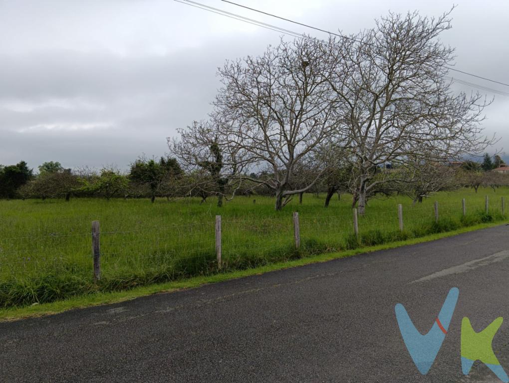 ¡Oportunidad única en Castiello! Construye la vida que siempre soñaste en este entorno natural privilegiado.Si buscas el equilibrio entre la serenidad del campo y la cercanía urbana, esta finca edificable es tu mejor inversión. Un lienzo en blanco en la zona más exclusiva, ideal para quienes priorizan la calidad de vida.Características destacadas:Diseña un hogar a tu medida en un entorno próspero y saludable.¿Tienes la visión? Nosotros tenemos el lugar. Contacta ahora y solicita tu visita. ¡Tu futuro empieza aquí!Entorno ideal: Comunidad acogedora, cerca de colegios y servicios esenciales.Ubicación estratégica: Privacidad total con transporte público cercano y excelentes conexiones.Servicios listos: Con infraestructura de agua, luz y saneamiento.Gran edificabilidad: Parcela amplia para construir hasta 600 m². ¡Espacio para vivienda, jardín y piscina!Gastos e impuestos no incluidos en el precio. A título orientativo, en segundas transmisiones, el comprador abonará el Impuesto sobre Transmisiones Patrimoniales (ITP). Para consultar los porcentajes del ITP en Asturias puede hacerlo a través de la web oficial de servicios tributarios del Principado de Asturias https://sede.tributasenasturias.es/sites/sede/default/es_ES/Que-quieres-hacer/Transmisiones-Patrimoniales-y-AJD. La base imponible será el mayor valor entre precio de compraventa, tasación o valor de referencia catastral. Gastos de notaría y registro según aranceles variables según precio, número de copias y complejidad.El comprador escoge libremente notario. El vendedor asume la plusvalía y el resto de gastos son del comprador. Si se precisa hipoteca: Tasación, condiciones y costes bancarios según entidad elegida por el comprador; así como los gastos de gestoría y cualesquiera otros inherentes a la formalización de la compraventa. De acuerdo con la ley, no se incluyen en el precio otros gastos o tributos que legalmente correspondan al comprador. Honorarios de intermediación inmobiliaria a cargo del vendedor y honorarios de mediación inmobiliaria del 2% más I.V.A. con un mínimo de 2.000 + IVA a cargo del comprador.El consumidor tiene derecho, conforme a la normativa vigente, a disponer de información y documentación adicional relativa al inmueble y condiciones de la compraventa, accesible en la sede física o mediante correo electrónico de la Agencia cuyos datos de contacto aparecen en la página web. La agencia actúa exclusivamente como intermediaria en la operación. Cualquier compraventa y sus condiciones quedan sujetas en todo caso a la aceptación expresa del vendedor del inmueble y a la posterior formalización del correspondiente contrato. El presente anuncio tiene carácter meramente informativo; la información suministrada se corresponde con la disponible a la fecha de publicación, pudiendo variar en función de las circunstancias o actualizaciones legales, contractuales y fiscales. 