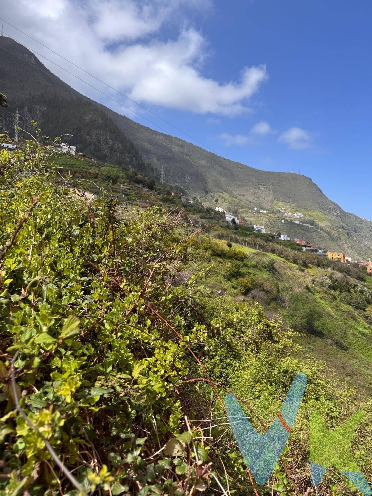 *¡Oportunidad Única en Los Realejos! Terreno de 842 m² con Vistas Espectaculares*. Te presento un magnífico terreno que combina lo mejor de dos mundos: un total de 842 m², de los cuales 464 m² son rústicos y 378 m² urbanos, ideal para desarrollar la casa de tus sueños. Situado en la codiciada zona de los Realejos, este terreno ofrece una ubicación privilegiada con vistas panorámicas impresionantes que te dejarán sin aliento. *Características del Terreno:*. - *Superficie Total:* 842 m² (464 m² rústicos y 378 m² urbanos). - *Ubicación:* Los Realejos, conocida por su tranquilidad y belleza natural. - *Vistas:* Espectaculares vistas al paisaje circundante, perfectas para disfrutar de atardeceres inolvidables. - *Potencial:* La parte urbana del terreno te permite desarrollar la casa que siempre has soñado, con espacio suficiente para jardines. *Beneficios:*. - *Entorno Natural:* Ideal para quienes buscan alejarse del bullicio de la ciudad sin renunciar a las comodidades. - *Proximidad a Servicios:* A pocos minutos de tiendas, restaurantes y servicios esenciales. - *Accesibilidad:* Buenas conexiones por carretera y transporte público. No dejes pasar esta oportunidad de invertir en un terreno que te permitirá construir el hogar que siempre has deseado. ¡Contáctanos para más información y para concertar visita !. Datos meramente informativos sin valor contractual. Impuestos y gastos de transmisión no incluidos en el precio de venta. 