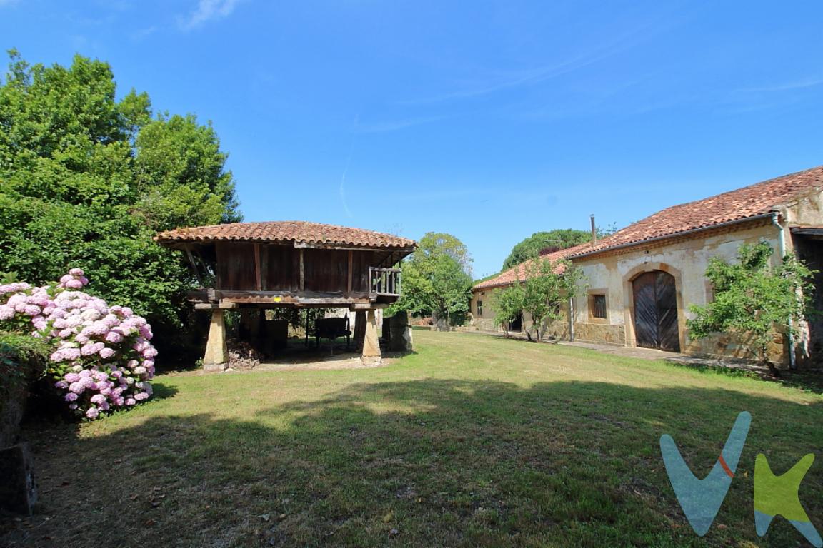 Les presentamos una propiedad singular, que no existe en toda la zona, por sus metros cuadrados, su arbolado protegido con robles centenarios junto a la vegetación en un entorno único. Con Vivienda, llagar y panera que datan de 1869.A destacar las posibilidades que tiene de rehabilitación de hasta 600m2 en dos alturas ya que en la actualidad dispone de bajo cubierta. Si se suprime lo construido actualmente, el plan urbano permite una nueva edificabilidad de hasta 300m2 en una o dos alturas.Dentro de los 9000m de parcela, hay 19 robles protegidos y un piño piñonero centenarios. Superficie de finca de 9000m y resto arbolado con Nogales, Avellanos, Higueras, Cerezos, Laureles y abundante vegetación.Es una vivienda que no está protegida, se puede rehabilitar incluso ampliando metros.Terreno totalmente llano y con servicios a pie de finca (Luz, agua y saneamiento) y sin edificaciones próximas.El área de Cabueñes en Gijón es conocida por su prestigio y encanto. Vivir aquí significa disfrutar de un entorno que combina el verdor de la naturaleza con la proximidad a playas y servicios. Es ideal para aquellos que buscan un estilo de vida más pausado sin renunciar a las ventajas de la ciudad. La tranquilidad del entorno, sumada a la calidad de vida que ofrece la zona, convierte esta vivienda en una opción excepcional para aquellos que desean establecer una residencia permanente o una segunda vivienda de ensueño.Le invitamos cordialmente a descubrir esta propiedad en persona. Su diseño cuidado, su amplia parcela y su entorno privilegiado son solo algunas de las razones para concertar una visita y enamorarse de este hogar en Cabueñes, Gijón.Contamos con más de 35 años de experiencia acreditada y nuestro objetivo es garantizarle un servicio de compra humano, ético, de calidad, fácil y seguro. Nuestro equipo lo integran agentes con la titulación AIR (Agente Inmobiliario Registrado), somos CRS (Council of Residential Specialist) y API. (Agente de la Propiedad Inmobiliaria Colegiado nº248). Contamos con un seguro de Caución que nos permite garantizar el depósito de las cantidades entregadas por nuestros clientes.Te ayudamos con la financiación con las mejores condiciones hipotecarias hasta el 100%.Consulte en nuestras reseñas de Google lo que opinan los clientes que ya han trabajado con nosotros.El precio no incluye gastos de notaría, registro e impuesto de transmisiones.