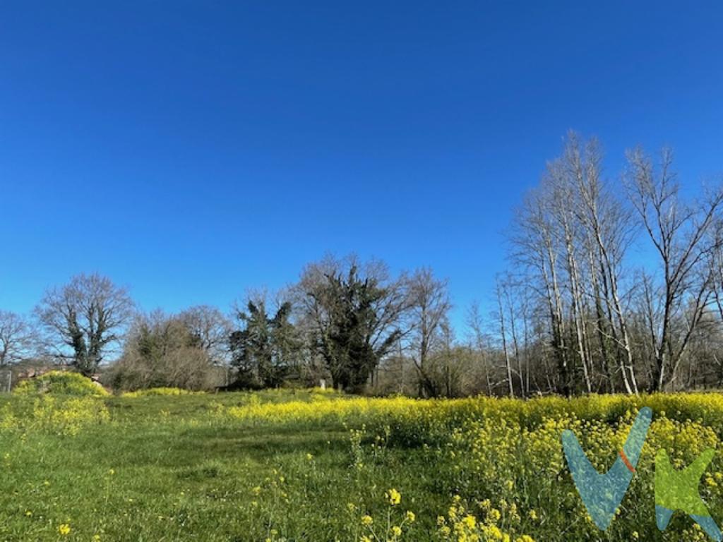 En Ontoria, zona residencial de Cabezon de la Sal, se encuentra esta magnifica finca urbana de gran extensión en un entorno tranquilo y natural, Junto a la senda del Minchon donde disfrutar de paseos infinitos. La posibilidad de edificar en esta parcela brinda una oportunidad única para aquellos que desean diseñar y construir su propio vivienda a medida. Con amplios espacios y vistas impresionantes, la finca ofrece un escenario perfecto para materializar cualquier proyecto arquitectónico. Posibilidad de varias viviendasLa tranquilidad y la belleza natural que rodean la finca en Ontoria la convierten en un lugar idóneo para construir una residencia privada . Con una ubicación privilegiada, conexiones de transporte cercanas y un entorno natural incomparable, proximo a la playas de Oyambre, Comillas y San Vicente de la Barquera y junto al nucleo urbano de Cabezon de la Sal donde dispone de todos los servicios. No dude en ponerse en contacto con nosotros para concertar una visita y conocer de primera mano todas las ventajas y posibilidades que ofrece esta finca en Ontoria. ¡No se arrepentirá de invertir en esta propiedad excepcional! 