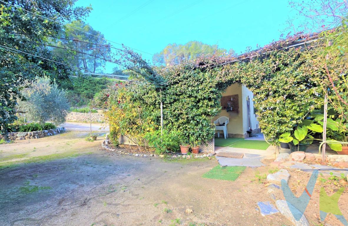 CASITA AGRÍCOLA CON MUCHO ENCANTO a 10 minutos de Reus. Les presentamos en exclusiva esta fantástica casita de campo situada en una cuidadísima  finca rústica de 2.000m² completamente vallada, ubicada entre las poblaciones de Maspujols y l´Aleixar, en la comarca del Baix Camp (provincia de Tarragona), a escasos 10 minutos en coche de Reus y a 15 de las fabulosas playas de la Costa Dorada. En ella nos encontramos con:. - Una casa agrícola  de obra de unos 30m² construidos, dotada con una práctica cocina, salón comedor con fuego a tierra, baño con ducha y un acogedor dormitorio. Entre otras particularidades, todos sus cerramientos son de PVC/Climalit. - Un fabuloso porche, dotado con toldo abatible motorizado, ideal para gozar de comidas y cenas en plena naturaleza y con toda intimidad. - Un práctico y amplio leñero, ideal e indispensable en una finca de estas características. - Como no podría ser de otra manera, una fantástica zona de barbacoa exterior, equipada con todo lo necesario para poder gozar en compañía de días irrepetibles. - Placas solares que proporcionan electricidad a toda la casa y a la parcela. - Diversos y cuidados árboles frutales que les ofrecerán fruta todo el año: naranjas, limones, mandarinas, manzanas, olivas, almendras y avellanas, kiwis,   aguacates y muchos más que juntamente de un sin fin de plantas aromáticas y ornamentales, contribuyen a la belleza y singularidad de esta finca tan especial.  - Lo más importante en un terreno en mitad de la naturaleza es estar dotado de agua. En éste, destaca una espléndida balsa que recibe una cristalina agua de la mina y que la distribuye por toda la plantación en un ingenioso y práctico sistema de riego y a varios depósitos de almacenaje de agua. - Un  polivalente y nuevo "Contenedor de obra" ideal como almacenaje o lo que se precise. - Y mucho más que descubrirán y gozarán al visitar la que será su nueva finca. Piezas de tierra con casitas agrícolas de obra  como esta, son muy difíciles de encontrar en el mercado inmobiliario y muy solicitadas al mismo tiempo. Aprovechen esta gran oportunidad de tener esa casa, ese terreno, ese refugio,  esa privacidad en pleno pulmón de la comarca, equipado y dotado con todo,  para encontrar el alivio  del atareado ritmo del día a día de la ciudad y no obstante, tenerla  a tan sólo diez minutos de distancia.  Para ustedes, para sus hobbies y para sus seres más queridos. Contacten con nosotros y agendaremos una visita, yo les enseñaré el camino, ustedes escogerán su nuevo destino.