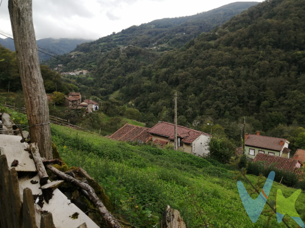 Casa con terreno situada en La Robellá de Santa Bárbara. Se encuentra en la parte alta del pueblo y tiene unas maravillosas vistas al valle. La Robellá es una población tranquila donde podrás disfrutar de los paseos matutinos o al atardecer tanto en verano como en invierno.
La planta de abajo consta de cocina, salón y lavadero. La parte de arriba tiene tres habitaciones, baño y balcón. La casa está para reformar completamente lo que permite mantener la misma distribución o hacerla a su gusto.
El precio de la propiedad no incluye los gastos de impuesto de transmisiones patrimoniales, notariales ni de registro