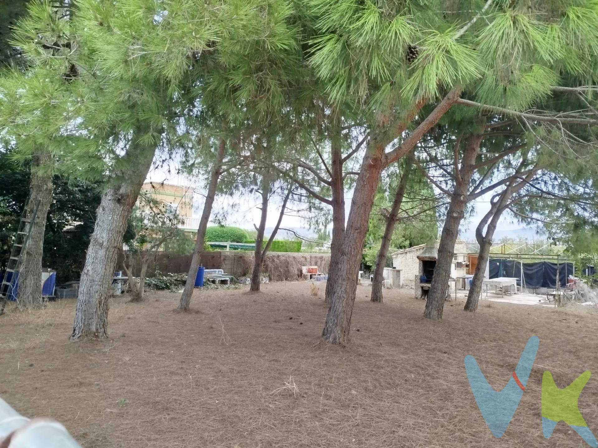 Presentamos una excelente oportunidad de adquirir un terreno rústico protegido ubicado en Camino la Plana, dentro de la zona del Grao de Castellón. Este espacio es ideal para aquellos que sueñan con cultivar su propio huerto y disfrutar de los beneficios que ofrece el contacto directo con la naturaleza. La propiedad cuenta con una agradable área rodeada de pinos, donde se encuentra una casita destinada a aperos agrícolas, perfecta para almacenar herramientas o pasar momentos agradables al aire libre. Además, dispone de pozo para facilitar el riego y suministro eléctrico disponible en toda la parcela. Esta oferta no solo te brinda un lugar único para tus actividades agrarias sino también un refugio tranquilo lejos del bullicio urbano. ¡No pierdas esta maravillosa oportunidad! . Contáctanos hoy mismo y empieza a planear tu oasis personal.