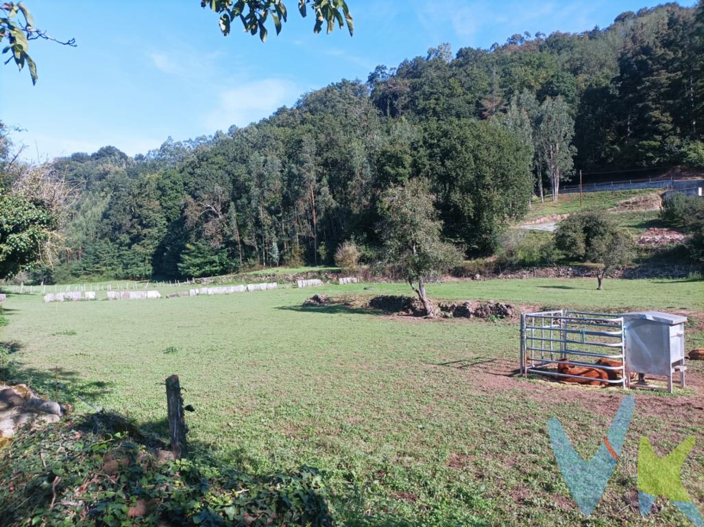 En San Juan de Raicedo, bonita localidad situada en el Valle de Iguña, tenemos para la venta esta finca rústica..de unos 5350 m². La normativa urbanística permite construir previa autorización de la CROTU, una vivienda unifamiliar de hasta dos plantas (máx. 6,5 m de altura) con una ocupación aproximada del 50 % de la parcela y edificabilidad 1m²/m², lo que te permitirá crear tu hogar soñado en plena naturaleza pero con todos los servicios a un paso.No dudes en contactar con nosotros y no te arrepentirás.Gastos e Impuestos no incluidos en el precio. Compra sujeta a ITP. El comprador se hará cargo de los costes de la escritura e inscripción en el Registro de la Propiedad.Más información en www.activanorte.com