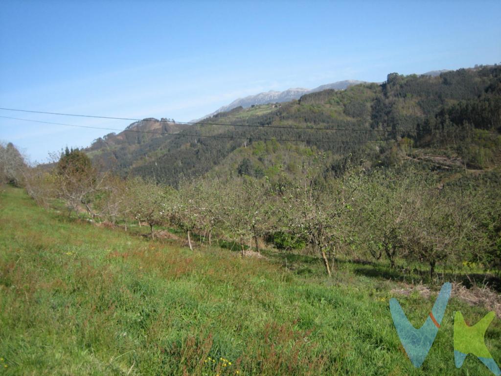¡Oportunidad única en Breceña, Villaviciosa! Se vende preciosa finca muy soleada de aproximadamente 15.000 m², ubicada en un entorno natural privilegiado y con excelentes comunicaciones. A tan solo 25 minutos de Gijón y 10 minutos de Villaviciosa, esta finca cuenta con agua propia y luz, lo que la hace ideal para uso agrario o ganadero. Además, ofrece la posibilidad de realizar construcción destinada a estos fines. Disfruta de unas vistas inmejorables y de la comodidad de estar bien conectado cerca de la carretera a Villaviciosa. ¡Todo esto a un precio inmejorable! No pierdas la oportunidad de invertir en un terreno con tanto potencial en pleno núcleo periurbano, aunque no urbanizable. ¡Contacta ya y ven a visitarla! El precio no incluye el impuesto de Transmisiones Patrimoniales ni los gastos de Notaría y Registro.