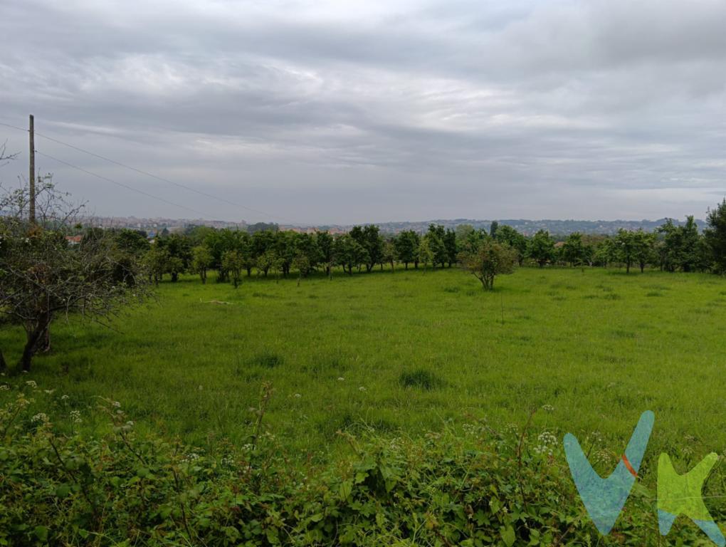¡Oportunidad única en Castiello! Construye la vida que siempre soñaste en este entorno natural privilegiado.Si buscas el equilibrio entre la serenidad del campo y la cercanía urbana, esta finca edificable es tu mejor inversión. Un lienzo en blanco en la zona más exclusiva, ideal para quienes priorizan la calidad de vida.Características destacadas:Diseña un hogar a tu medida en un entorno próspero y saludable.¿Tienes la visión? Nosotros tenemos el lugar. Contacta ahora y solicita tu visita. ¡Tu futuro empieza aquí!Entorno ideal: Comunidad acogedora, cerca de colegios y servicios esenciales.Ubicación estratégica: Privacidad total con transporte público cercano y excelentes conexiones.Servicios listos: Con infraestructura de agua, luz y saneamiento.Gran edificabilidad: Parcela amplia para construir hasta 300 m². ¡Espacio para vivienda, jardín y piscina!Gastos e impuestos no incluidos en el precio. A título orientativo, en segundas transmisiones, el comprador abonará el Impuesto sobre Transmisiones Patrimoniales (ITP). Para consultar los porcentajes del ITP en Asturias puede hacerlo a través de la web oficial de servicios tributarios del Principado de Asturias https://sede.tributasenasturias.es/sites/sede/default/es_ES/Que-quieres-hacer/Transmisiones-Patrimoniales-y-AJD. La base imponible será el mayor valor entre precio de compraventa, tasación o valor de referencia catastral. Gastos de notaría y registro según aranceles variables según precio, número de copias y complejidad.El comprador escoge libremente notario. El vendedor asume la plusvalía y el resto de gastos son del comprador. Si se precisa hipoteca: Tasación, condiciones y costes bancarios según entidad elegida por el comprador; así como los gastos de gestoría y cualesquiera otros inherentes a la formalización de la compraventa. De acuerdo con la ley, no se incluyen en el precio otros gastos o tributos que legalmente correspondan al comprador. Honorarios de intermediación inmobiliaria a cargo del vendedor y honorarios de mediación inmobiliaria del 2% más I.V.A. con un mínimo de 2.000 + IVA a cargo del comprador.El consumidor tiene derecho, conforme a la normativa vigente, a disponer de información y documentación adicional relativa al inmueble y condiciones de la compraventa, accesible en la sede física o mediante correo electrónico de la Agencia cuyos datos de contacto aparecen en la página web. La agencia actúa exclusivamente como intermediaria en la operación. Cualquier compraventa y sus condiciones quedan sujetas en todo caso a la aceptación expresa del vendedor del inmueble y a la posterior formalización del correspondiente contrato. El presente anuncio tiene carácter meramente informativo; la información suministrada se corresponde con la disponible a la fecha de publicación, pudiendo variar en función de las circunstancias o actualizaciones legales, contractuales y fiscales.