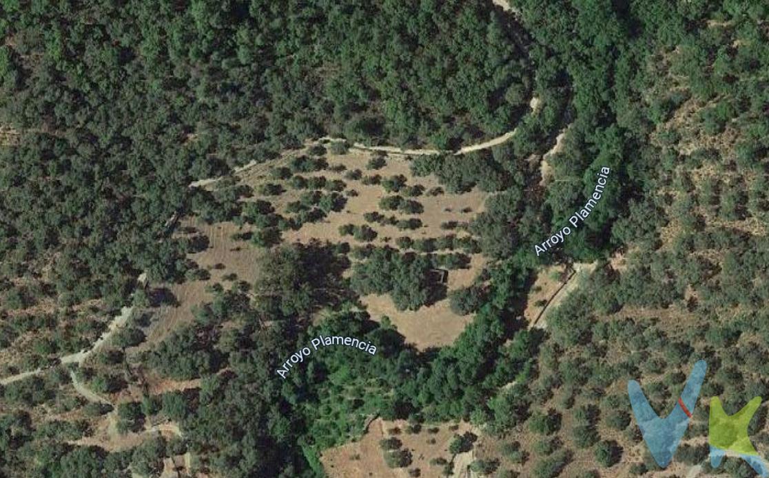 Finca en Linares de la Sierra – Tu refugio en el corazón del Parque Natural Sierra de Aracena y Picos de Aroche.

Imagina despertar cada día en un paraíso natural, rodeado de calles empedradas llenas de historia, el murmullo de fuentes que nacen de manantiales y un paisaje donde el tiempo parece detenerse.

Esta finca de 19.941 m² es mucho más que tierra: es un sueño hecho realidad para quienes anhelan una vida en armonía con la naturaleza.

Con acceso directo al Arroyo Plamencia, que fluye todo el año y en invierno multiplica por cuatro su caudal, tendrás agua y vida garantizadas.

La propiedad está completamente vallada y cuenta con un camino privado y cancela de acceso.

Su casa monte de 51 m² ofrece todo el encanto rústico y la posibilidad de transformarla en una acogedora casa de campo. Dispone de zona de viña, espacio para huerto y para instalar placas solares, la combinación perfecta para una vida autosuficiente.

🌳 Ubicada en el corazón de Linares de la Sierra, un pueblo con alma, donde las tradiciones centenarias siguen vivas y cada rincón respira autenticidad.

Aquí podrás cultivar, criar, soñar… y vivir sin prisas, con la serenidad que solo da la montaña.

¿Es español o extranjero y necesita financiación para poder comprarla? Le ayudamos a conseguirla con las mejores condiciones del mercado. 

¿Busca una casa de campo pero su estilo es otro? Contacte con nosotros, seguro que tenemos la casa de tus sueños en Huelva, Sevilla, Cádiz y el resto de Andalucía. 

Tenemos más de 20 años ayudando a personas a comprar o vender sus propiedades. 

Informamos a nuestros clientes que el precio de venta no incluye lo siguiente: Honorarios de la agencia inmobiliaria, impuestos (el Impuesto de Transmisiones Patrimoniales, IVA o AJD, en su caso), otros gastos de la compraventa (gastos de registro de la Propiedad, Notaría, gestión ni de posible financiación). Documento DIA a disposición del consumidor según Decreto 218/2005 Junta de Andalucía. IMG.

