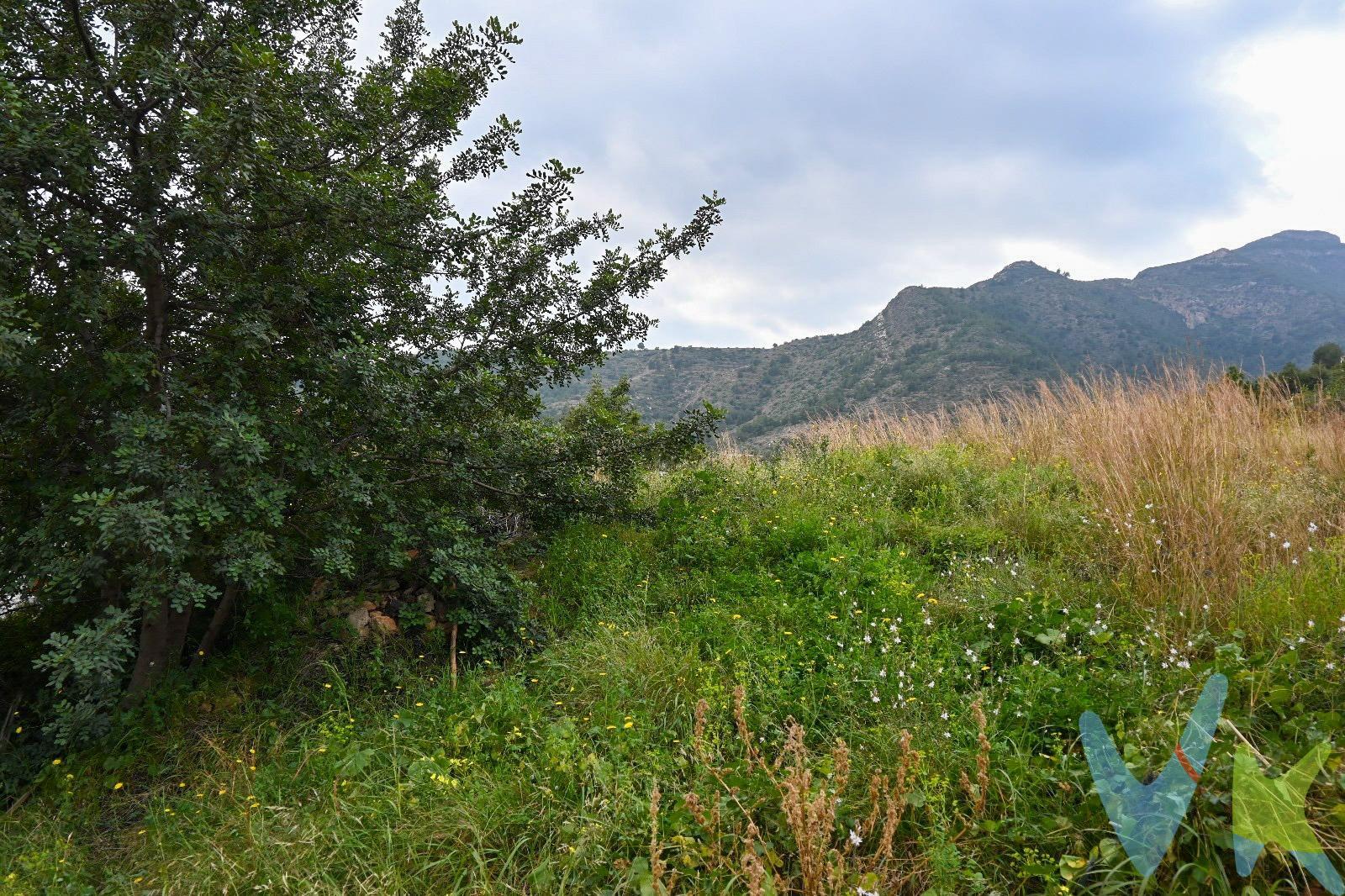 Terreno Urbano en La Vall d'Uxó - Frente a las Cuevas de San José. Oportunidad única de adquirir un terreno urbano de 452 m² en La Vall d'Uxó, Castellón. Este espacio, ideal para construir la casa de tus sueños, se encuentra ubicado justo enfrente de las famosas Cuevas de San José, desde el cual se ve el mar encuadrado con las montañas en un entorno natural de excepcional belleza. El terreno está listo para edificar y cuenta con acceso a todos los servicios básicos, incluyendo agua, electricidad y saneamiento, lo que asegura comodidad y funcionalidad. Disfruta de la tranquilidad de vivir rodeado de naturaleza, con fácil acceso a comercios, colegios y transporte público. No pierdas la oportunidad de invertir en un lugar que combina calidad de vida y belleza natural. ¡Contáctanos para más información y ven a visitar tu futuro hogar!. La descripción del presente inmueble e imágenes tienen mero carácter informativo y en ningún caso carácter contractual, pudiendo ser modificados por la inmobiliaria comercializadora sin que ello implique responsabilidad alguna frente a terceros. En el precio de venta a público, esta propiedad NO incluye los gastos de adquisición (Notario, registro, gestión, honorarios, etc…). 