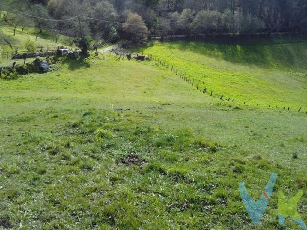  ***Descubre una oportunidad única de inversión en Grado***Presentamos para la venta una espectacular finca en Grado, CONCRETAMENTE EN SAN MARTÍN DE GURULLÉS ( GRAO ) que representa una excelente oportunidad tanto para inversores como para aquellos que buscan un lugar idílico donde construir su hogar soñado. Este amplio terreno ofrece un sinfín de posibilidades, adaptándose a múltiples proyectos que puede imaginar.Ubicada en una zona de potenciamiento continuo, esta generosa parcela edificable tiene una extensión de 2140m de los cuales  1.262 metros cuadrados son  edificables, proporcionando un espacio óptimo para desarrollar distintos tipos de construcciones, bien sea una vivienda unifamiliar, un pequeño complejo residencial, o incluso espacios de uso mixto. La posibilidad de personalizar y diseñar este espacio, convierte a esta finca en una joya única en el mercado.La parcela, completamente cerrada, le brinda la tranquilidad y privacidad que tanto desea. Su perímetro cerrado asegura la protección y delimitación del terreno, permitiéndole disfrutar de su propiedad en tranquilidad absoluta. Además, uno de los atractivos principales de esta finca es su infraestructura lista para ser adaptada a sus necesidades específicas. El terreno cuenta con alcantarillado, un punto crucial que facilita cualquier proyecto de construcción, reduciendo tiempos y costos adicionales asociados.La ubicación estratégica en el corazón de Grado, le permite gozar de la combinación perfecta entre la tranquilidad del entorno natural y la conveniencia de accesibilidad a todos los servicios necesarios. Grado se caracteriza por su encanto inigualable; rodeado de paisajes verdes y montañosos, es perfecto para quienes buscan escaparse del bullicio urbano mientras mantienen una conexión con la civilización. NOTA IMPORTANTE: SOLO SE ATIENDEN INTERESADOS QUE INDIQUEN SU NUMERO DE TELEFONO. El distrito ofrece una amplia gama de actividades y puntos de interés que enriquecen la calidad de vida de sus habitantes. Desde rutas de senderismo entre montañas, hasta una vibrante oferta cultural y gastronómica, Grado es el lugar ideal tanto para familias como para aquellos que buscan retirarse en un ambiente sereno y apacible.La facilidad de acceso al terreno hace su visita aún más propicia, pues se encuentra cercano a las principales vías de comunicación que le conectarán rápidamente con las importantes ciudades cercanas y municipios adyacentes. Esta conectividad le garantiza una transición cómoda y accesible hacia su día a día, sin perder el placer de habitar en un espacio reino de paz y descanso.  