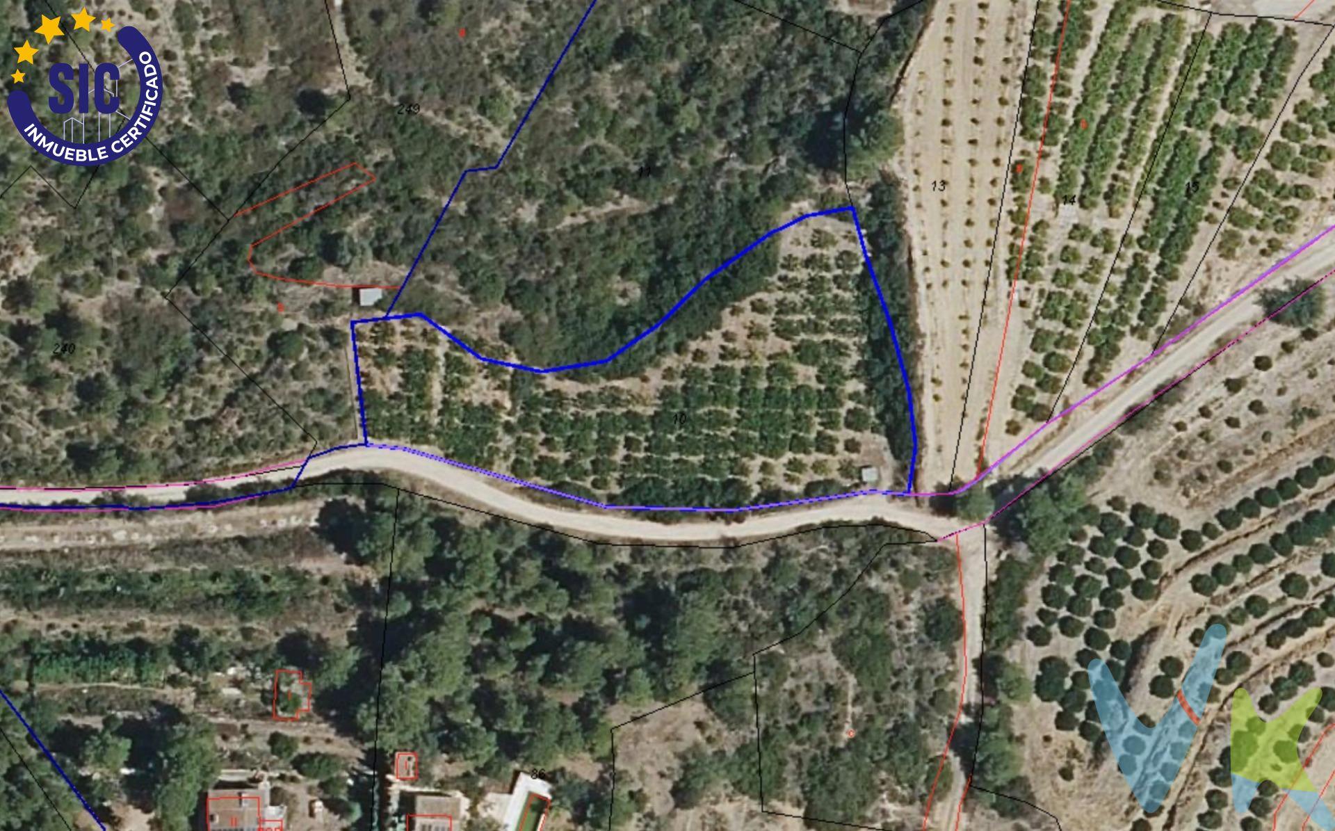 Se vende terreno rústico en el término de Quatretonda, ubicado en la partida Rebols, en una zona muy tranquila y con mucho encanto, perfecto tanto para inversión como para disfrutar de la naturaleza. La parcela tiene buen acceso por camino y excelente orientación, cuenta con una superficie de 3.531 m², completamente llana y de tierra de secano, lo que la hace ideal para cultivo agrícola, como inversión o para crear tu propio espacio de ocio. Ubicado a pocos minutos de Barxeta y de Xàtiva, combina la tranquilidad del entorno rural con la cercanía a todos los servicios, una finca con muchas posibilidades. Características:. Superficie: 3.531 m². Terreno de secano. Buen acceso. Zona despejada y soleada. Entorno rural muy tranquilo. Situación legal:. Finca en pleno dominio. Escritura en regla. Sin cargas relevantes ni trámites pendientes. Perfecto para:. Cultivo agrícola. Inversión. Uso recreativo o escapadas de fin de semana. VENTA:. PVP 13.000€.  Gastos e impuestos no incluidos en el precio. La compra conlleva impuestos y gastos de formalización para el comprador. A título orientativo se informa que en segundas transmisiones el ITP con carácter general en Valencia es del 9%, pudiendo existir otros tipos impositivos atendiendo a las circunstancias  personales del comprador u otras circunstancias previstas legalmente. Base imponible del impuesto el mayor valor entre el precio de compraventa, la tasación o el valor de referencia catastral. En cuanto a los gastos de notaría y registro, en su caso,  suelen oscilar aprox; entre 1,5% y 2,5% (aranceles variables según precio, n.º de copias y complejidad). El comprador elige notario. Si el comprador precisase de hipoteca: tasación, condiciones y costes bancarios serán según entidad elegida por el comprador, así como los gastos de gestoría, y cualesquiera otros gastos inherentes a la formalización de la compraventa que legalmente correspondan a la parte compradora, salvo pacto expreso en contrario con el vendedor. El consumidor tiene, conforme a la normativa vigente, a su disposición información y documentación adicional relativa al inmueble y condiciones de la compraventa, que podrá ser consultada en C/Joaquín Costa 4, bajo 46005 Valencia o urbe2@remax.es. Honorarios de mediación inmobiliaria a cargo del  COMPRADOR: (3000€ del precio final de venta más IVA (21%), salvo otro pacto.); y de VENDEDOR (según acuerdo con el mismo). Se informa al consumidor que la agencia actúa como intermediaria inmobiliaria en la operación, estando cualquier eventual compraventa y sus condiciones sujeta a la aceptación expresa del propietario-vendedor y a la posterior formalización del correspondiente contrato.