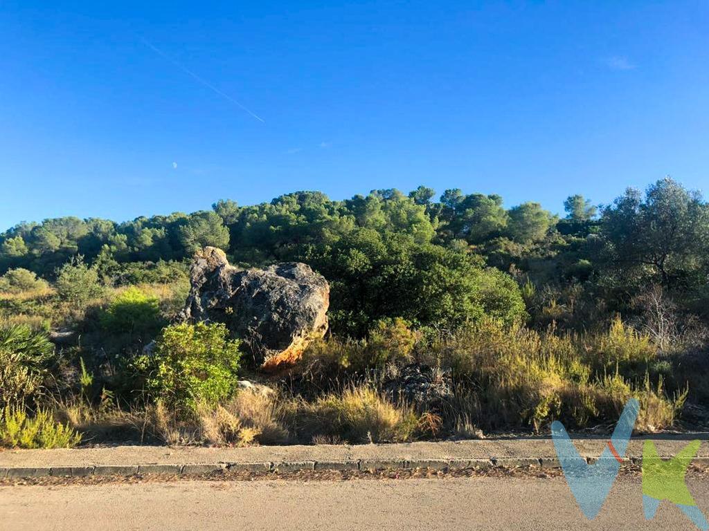 ¿Buscas un lugar donde construir la casa de tus sueños sin perder tiempo? ¡Esta es tu oportunidad! Se vende fantástica parcela urbana de 1.825 m² en la prestigiosa Urbanización San Cristóbal de Alberic, ya con proyecto arquitectónico realizado y estudios geotécnico y topográfico completados, ¡lista para empezar a construir de inmediato!. La parcela tiene una ligera pendiente, perfecta para diseñar una vivienda moderna con terrazas, piscina, jardín y unas vistas despejadas espectaculares al entorno natural. Su forma regular permite aprovechar al máximo cada metro cuadrado. Ubicada en una zona consolidada, con acceso asfaltado, alumbrado público y acometidas de agua y luz ya disponibles, lo que facilita enormemente el inicio de obra. ¡Todo preparado para que empieces tu proyecto sin complicaciones!. La Urbanización San Cristóbal es una de las más valoradas de la comarca por su seguridad 24 horas, ambiente familiar, naturaleza, tranquilidad y su excelente conexión con Valencia, a tan solo 35-40 minutos por autovía. Además, cuenta con club social, pistas deportivas, zonas de ocio y todos los servicios esenciales. Ideal tanto como residencia habitual como para segunda vivienda o inversión. Una ubicación privilegiada, un entorno exclusivo y todos los estudios técnicos ya realizados. ¡Solo falta que tú pongas la ilusión!. No dejes pasar esta oportunidad. ¡Llámanos y ven a visitarla!. 