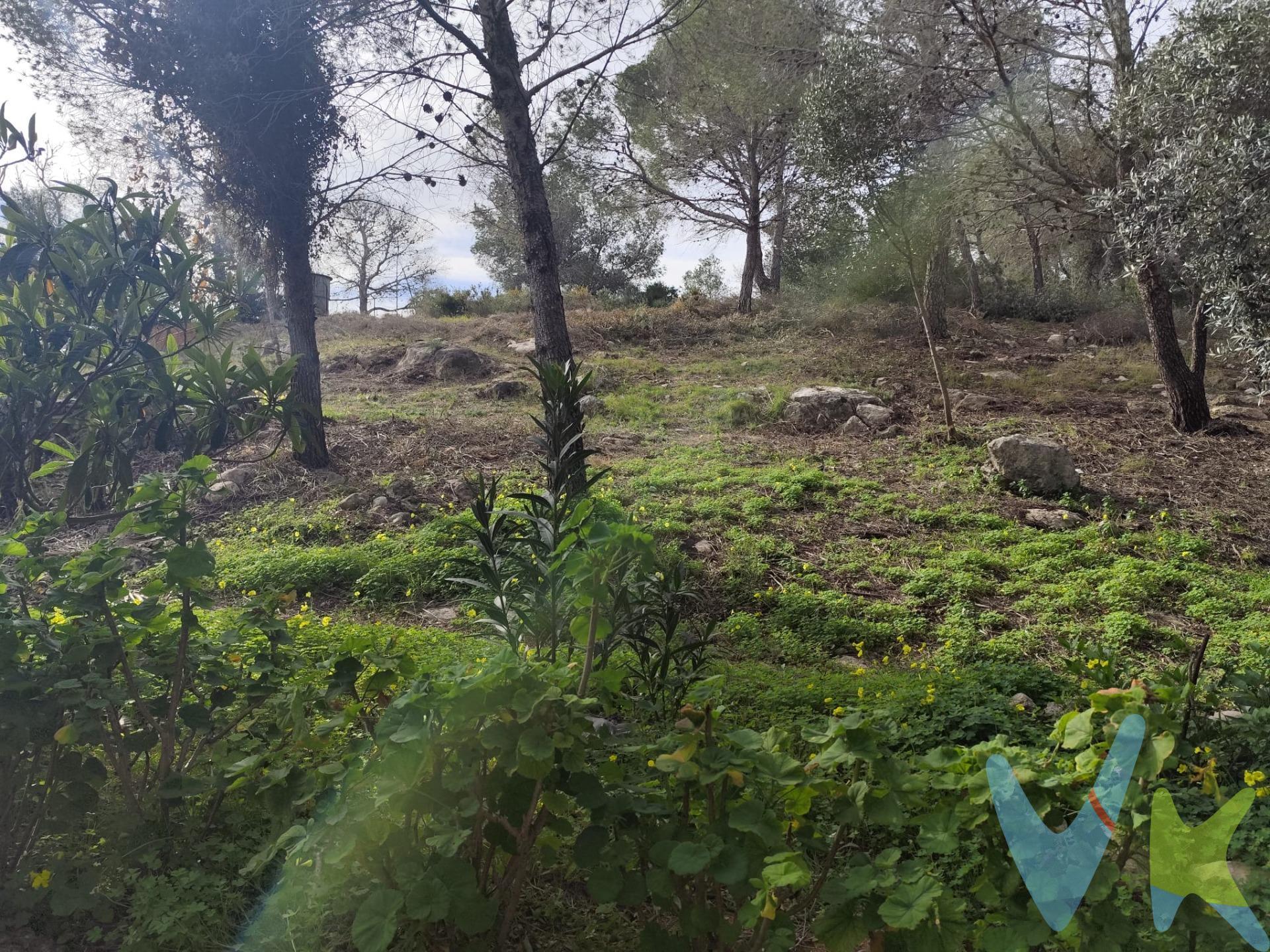 ¿Buscas amplitud, exclusividad y un entorno natural sin renunciar a la seguridad de una urbanización consolidada?. Presentamos esta magnífica parcela de 2.096 m2 situada en la prestigiosa Urbanización El Pinar, un enclave privilegiado rodeado de naturaleza y con todos los servicios deportivos y sociales a tu alcance. Características Principales. Superficie: 2.096 m2 de terreno con grandes posibilidades. Estado Urbanístico: Suelo urbano. Actualmente, la concesión de licencias de obra está vinculada a la finalización del proyecto de alcantarillado (actualmente en fase de estudio por las autoridades pertinentes) para la eliminación definitiva de fosas sépticas. Entorno: Zona residencial tranquila, habitada durante todo el año y con excelente vecindad. Instalaciones y Club Social. Vivir en El Pinar es sinónimo de calidad de vida. La urbanización cuenta con unas instalaciones comunes excepcionales:. Club Social: Un punto de encuentro exclusivo para los vecinos. Deporte: Pistas de tenis, frontón y campo de futbito. Zonas Verdes: Áreas comunes cuidadas para el disfrute familiar. Nota Importante: Al adquirir la parcela, el comprador entra a formar parte de la copropiedad de todas las instalaciones comunes y edificios de la urbanización (Club Social, etc.). Para formalizar esta titularidad y el acceso a los servicios, se requiere una aportación inicial de 6.000 €. ¿Por qué esta parcela?. Es la opción ideal para inversores que deseen posicionarse en una de las urbanizaciones con más potencial de Picassent antes de que la nueva infraestructura de saneamiento revalorice significativamente los precios de la zona. ¡No dejes pasar esta oportunidad de construir tu futuro en El Pinar!. Para más información o concertar una visita, contacta con nosotros. VENTA:. PVP 99.900€. Gastos e impuestos no incluidos en el precio. La compra conlleva impuestos y gastos de formalización para el comprador. A título orientativo se informa que en segundas transmisiones el ITP con carácter general en Valencia es del 10%, pudiendo existir otros tipos impositivos atendiendo a las circunstancias personales del comprador u otras circunstancias previstas legalmente. Base imponible del impuesto el mayor valor entre el precio de compraventa, la tasación o el valor de referencia catastral. En cuanto a los gastos de notaría y registro, en su caso, suelen oscilar aprox; entre 1,5% y 2,5% (aranceles variables según precio, n.o de copias y complejidad). El comprador elige notario. Si el comprador precisase de hipoteca: tasación, condiciones y costes bancarios serán según entidad elegida por el comprador, así como los gastos de gestoría, y cualesquiera otros gastos inherentes a la formalización de la compraventa que legalmente correspondan a la parte compradora, salvo pacto expreso en contrario con el vendedor. El consumidor tiene, conforme a la normativa vigente, a su disposición información y documentación adicional relativa al inmueble y condiciones de la compraventa, que podrá ser consultada en C/Joaquín Costa 4, bajo 46005 Valencia o urbe2@remax.es. Honorarios de mediación inmobiliaria a cargo del COMPRADOR: (3% del precio final de venta más IVA (21%), salvo otro pacto.); y de VENDEDOR (según acuerdo con el mismo). Se informa al consumidor que la agencia actúa como intermediaria inmobiliaria en la operación, estando cualquier eventual compraventa y sus condiciones sujeta a la aceptación expresa del propietario-vendedor y a la posterior formalización del correspondiente contrato.