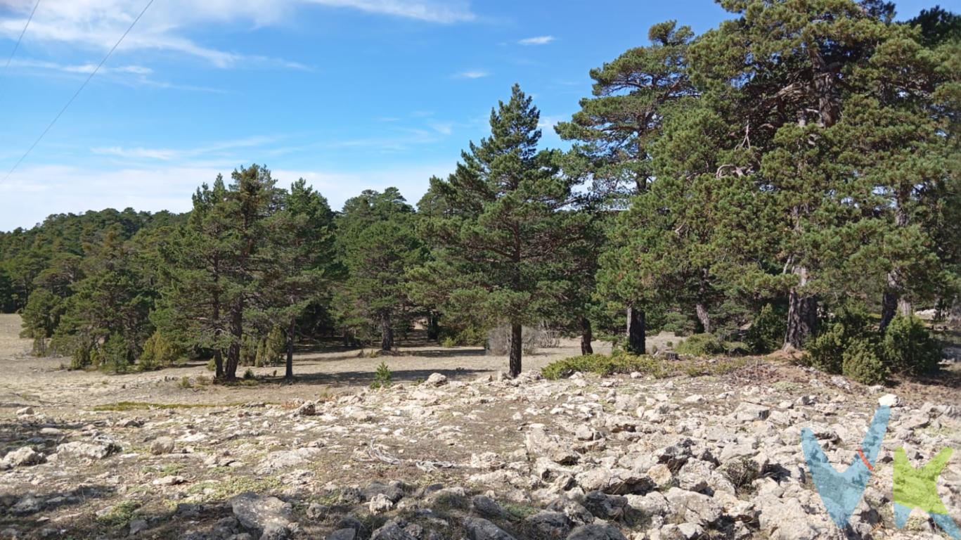 Fantástico terreno de 20.000  m2  en plena naturaleza.En el corazón de la Sierra de Gúdar, en la localidad de Nogueruelas provincia de Teruel. Situada a 8 Km de Nogueruelas y a una hora y veintisiete minutos de Valencia, cerca de las pistas de esquí de Javalambre y Valdelinares, a tan solo 20 km de Rubielos de Mora y a 51 minutos de Teruel.Está situado en lo alto de una colina a 1.700 m de altitud con unas vistas espectaculares. Excelente clima mediterráneo.Parcela perfecta para construir una pequeña casa de aperos y poder desconectar de la ciudad disfrutando de la naturaleza. Y si eres amante de la astronomía esta es la ubicación perfecta para la instalación de un observatorio astronómico por su baja contaminación lumínica. Disfrutarás de noches impresionantes observando el universo.Por mandato expreso del propietario comercializamos este inmueble mediante contrato de multiexclusiva, por el cual numerosas agencias colaboradoras, nacionales e internacionales, ofrecen esta vivienda a sus potenciales compradores, todo ello garantizando un servicio de calidad, un trato fácil, sencillo y sin interferencias de terceros. Por este motivo, se ruega no molestar al propietario, a los ocupantes de la propiedad, a los vecinos o conserjes del edificio o urbanización si los hubiera. Muchas gracias por su comprensión.La descripción del presente inmueble e imágenes tienen mero carácter informativo y en ningún caso carácter contractual, pudiendo ser modificados por la agencia inmobiliaria sin que ello implique responsabilidad alguna frente a terceros.No incluidos en el precio impuestos, gastos de notaría, registro ni honorarios de la agencia.Esta propiedad se pone a la venta con toda la documentación comprobada y en regla, por lo que ofrecemos GARANTIAS a los compradores.