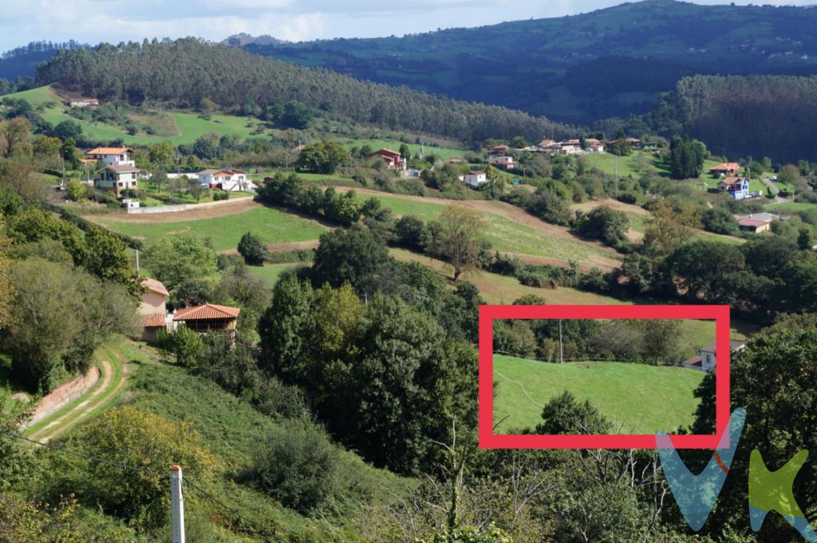  Ponemos a la venta 2 parcelas edificables en Cenero, buen acceso por carretera, luz y agua a píe de finca, vistas, soleadas, buen acceso, en la zona de Carbainos, Parcela 1/ 1.788 m2 Precio: 45.000 euros. Parcela 2/ 2.000 m2 Precio: 48.000 euros. Informese !!LA FINCA, al ser edificable, le permitirá diseñar y construir su vivienda a su medida. Disponer de 300 metros cuadrados le otorga la libertad de crear el hogar que siempre ha deseado. Desde una amplia casa de dos plantas hasta un moderno edificio de apartamentos, las posibilidades son infinitas.Además, cabe destacar que en la zona de Cenero existe una gran demanda de viviendas, lo que convierte a esta parcela en una inversión segura. Las propiedades en esta área son muy cotizadas, por lo que adquirir esta finca es una excelente oportunidad para obtener beneficios a largo plazo.En cuanto a la infraestructura, la finca cuenta con acceso a todos los servicios básicos, como agua y electricidad, lo que facilitará la construcción de su nuevo hogar. Además, las vías de comunicación están perfectamente conectadas, permitiéndole desplazarse rápida y cómodamente hacia el centro de Gijón o cualquier otro punto de interés.No podemos dejar de mencionar las fantásticas vistas que podrá disfrutar desde esta parcela. Al estar ubicada en una zona elevada, tendrá la oportunidad de contemplar hermosos paisajes y deleitarse con la tranquilidad y el aire fresco que el entorno brinda.En resumen, si está buscando una finca edificable en Gijón, no puede dejar pasar esta oportunidad. No solo estará adquiriendo un inmueble con gran potencial de revalorización, sino que también estará invirtiendo en la calidad de vida que solo esta zona puede ofrecer.   