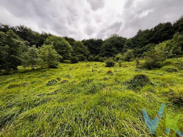 









Naturaleza, amplitud y privacidad en pleno Valle de Imotz
Se vende finca rústica no urbanizable en el término de Latasa, ubicada en un entorno natural de gran belleza y tranquilidad. La parcela cuenta con una superficie total de 14.632 m², distribuidos en aproximadamente 1 hectárea de pradera de pastos y 4.600 m² de arbolado con masa forestal consolidada.
La finca presenta una orografía en pendiente, ideal para uso ganadero, así como para disfrutarla como finca de recreo y ocio familiar en plena naturaleza.
Dispone de acceso mediante pista hormigonada hasta unos 300 metros de la parcela, pudiéndose llegar hasta la propia finca con vehículo todoterreno.
Un enclave perfecto para quienes buscan desconexión, contacto con el entorno rural y una finca con encanto natural en el Valle de Imotz, a una distancia aproximada de 25 km a Pamplona.









